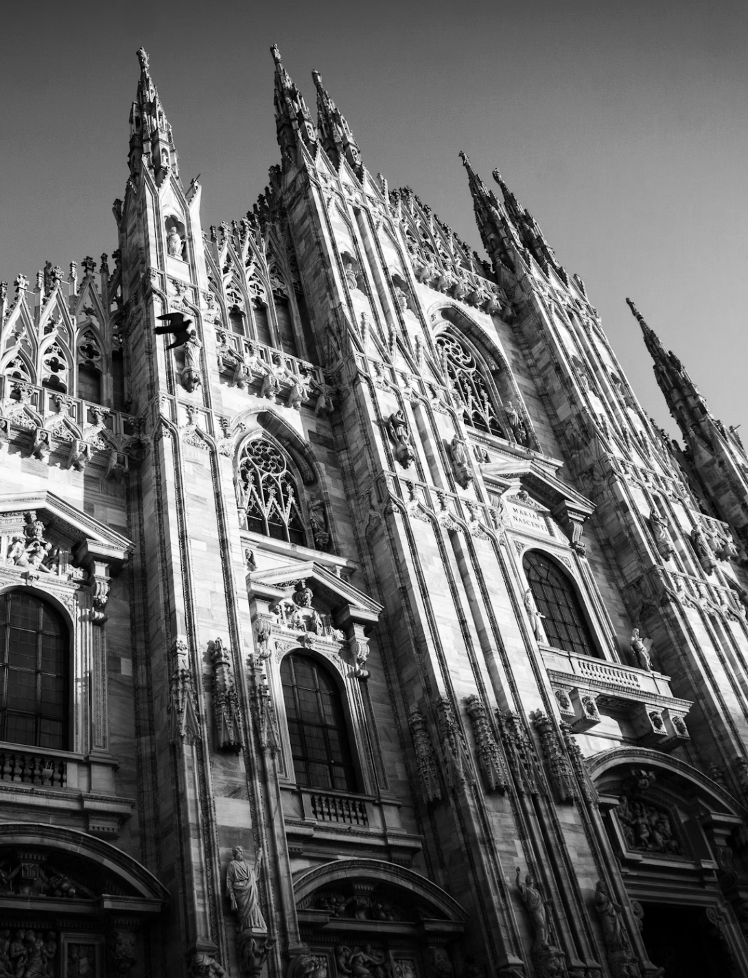 MILAN - Studio Intensive + Post Production