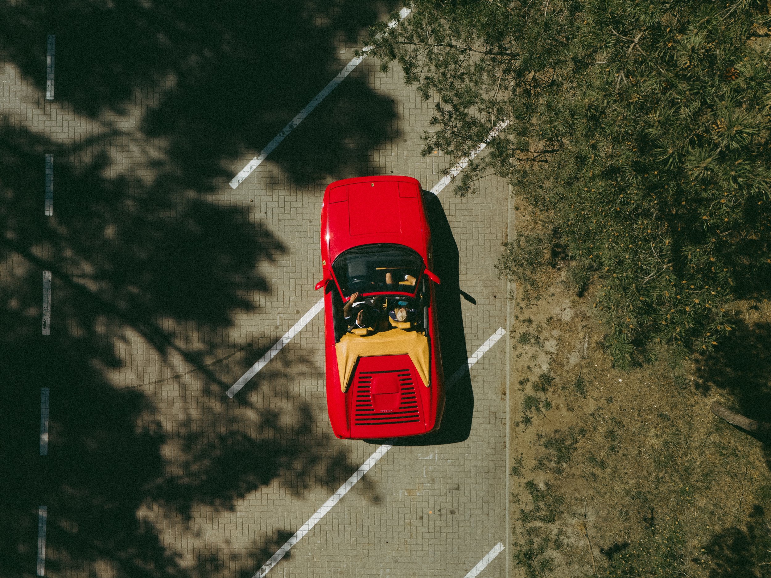 DJI_20260609153929_0654_D.jpg