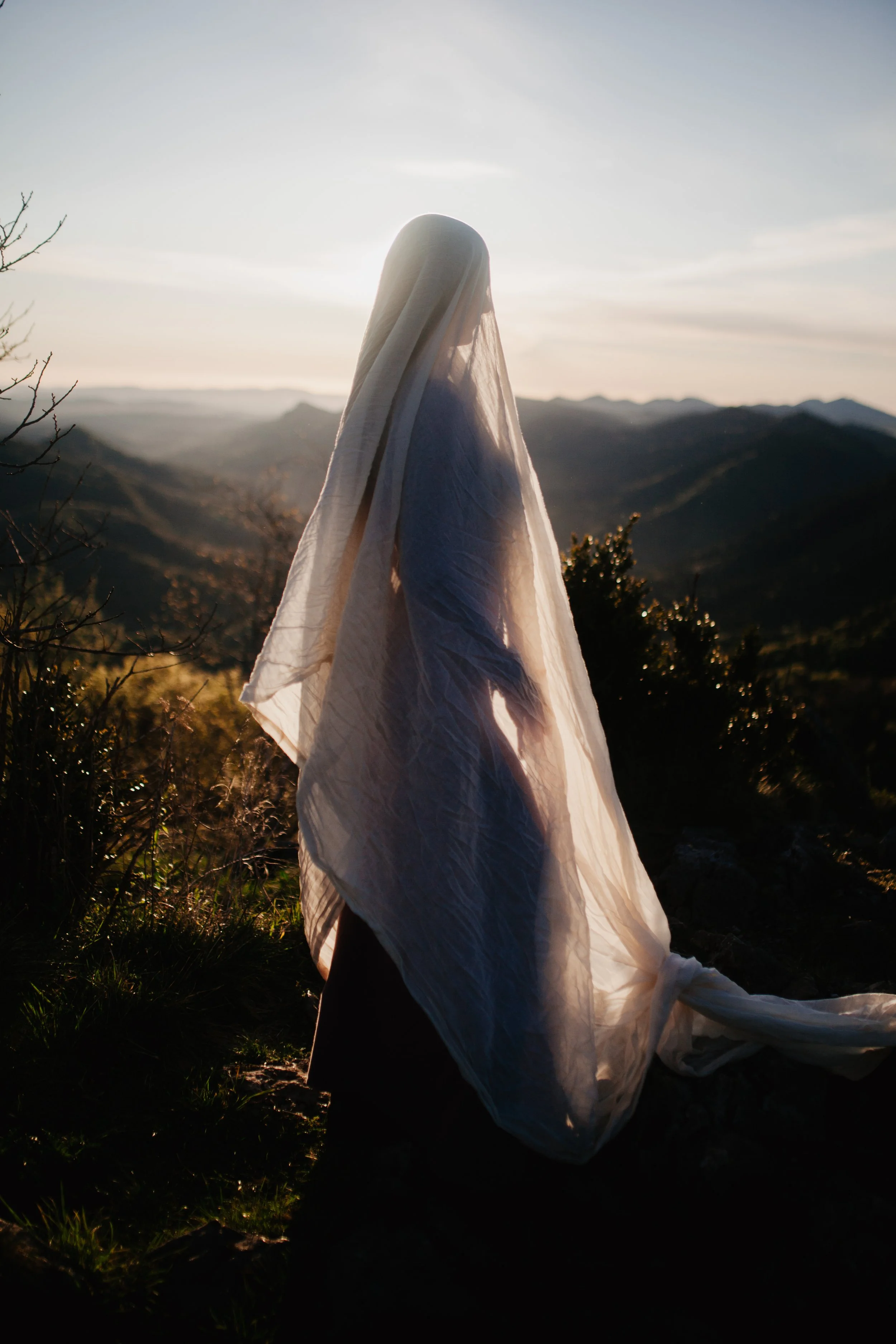 Terug naar de Katharen