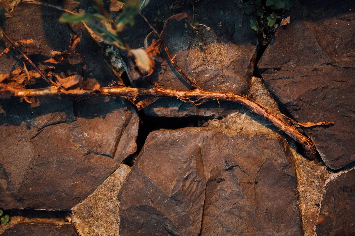 Elke-Smit-Photography-9 (6).JPG