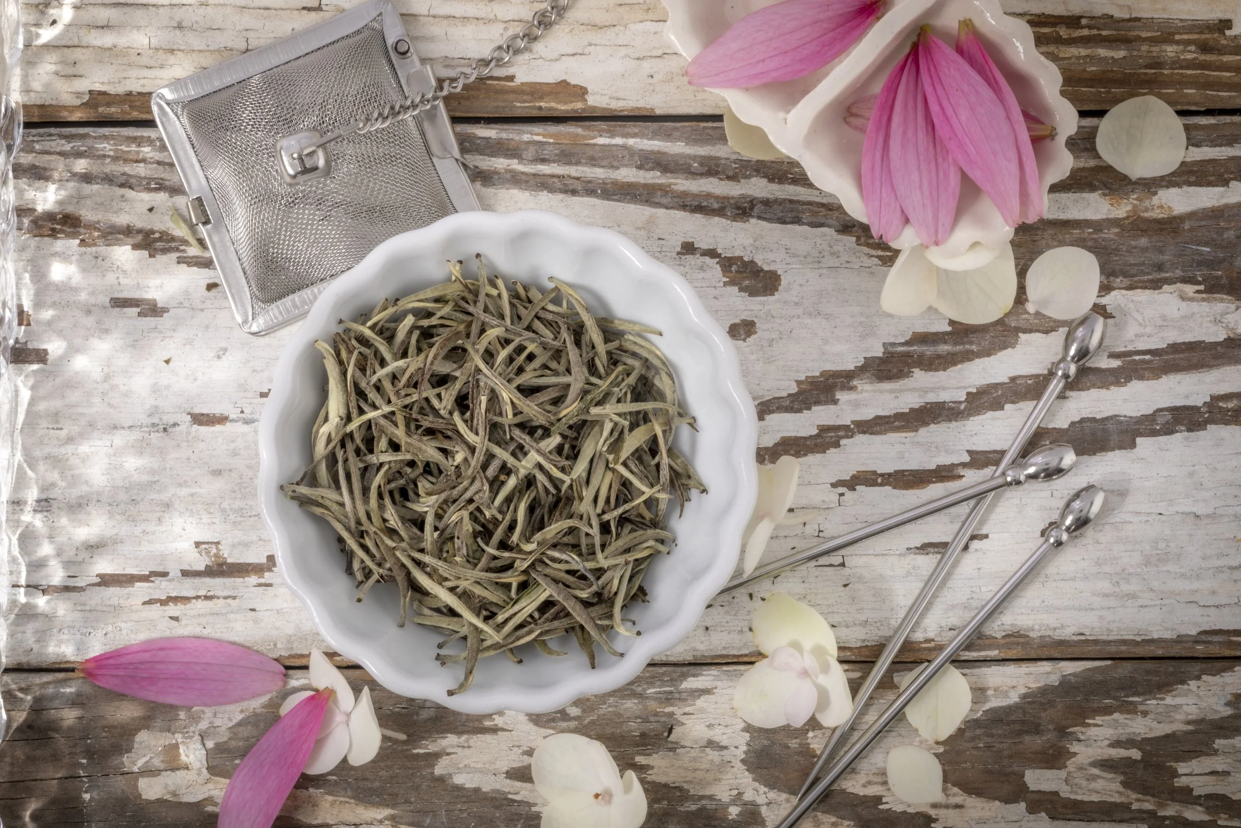 Silver Needle White Tea Symphony of Leaves Tea Co.