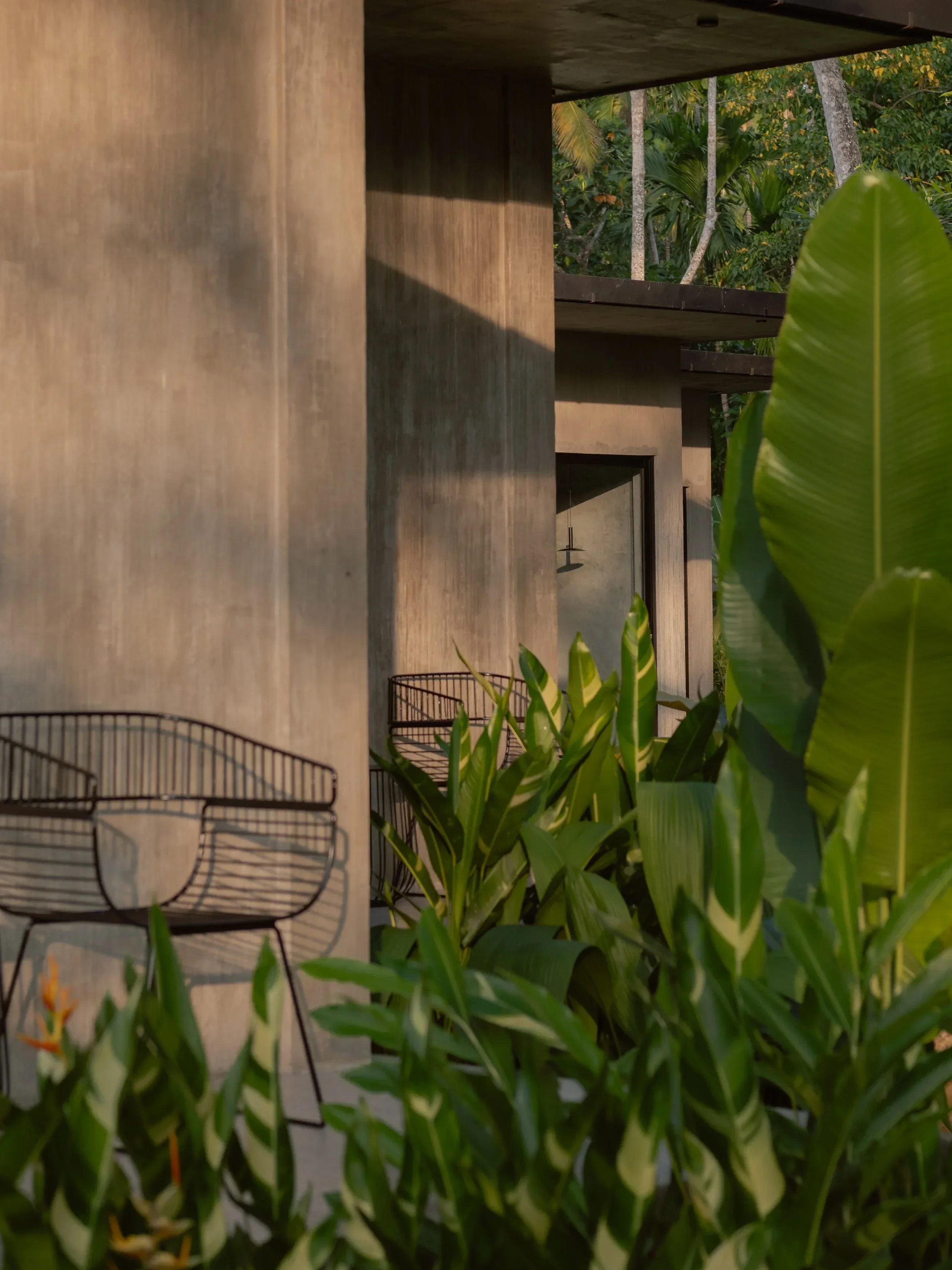 Maro Garden  website design, 2025 