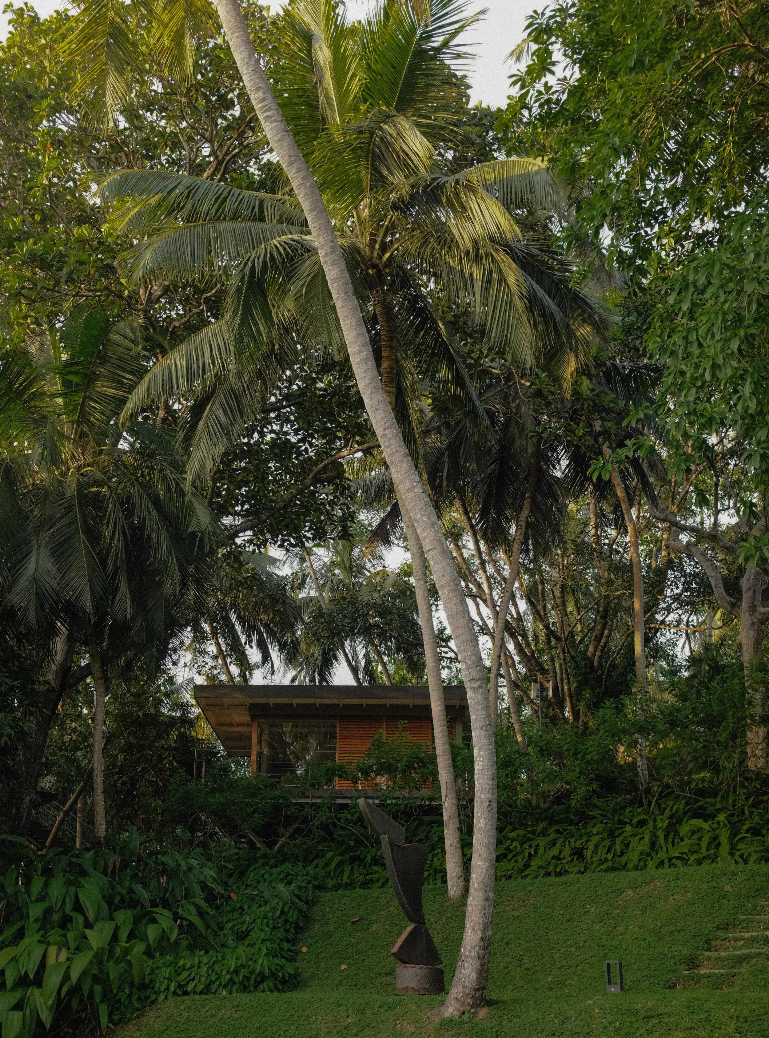 Siriwan Champorn - Treehouse in Nature, Kurulu Bay
