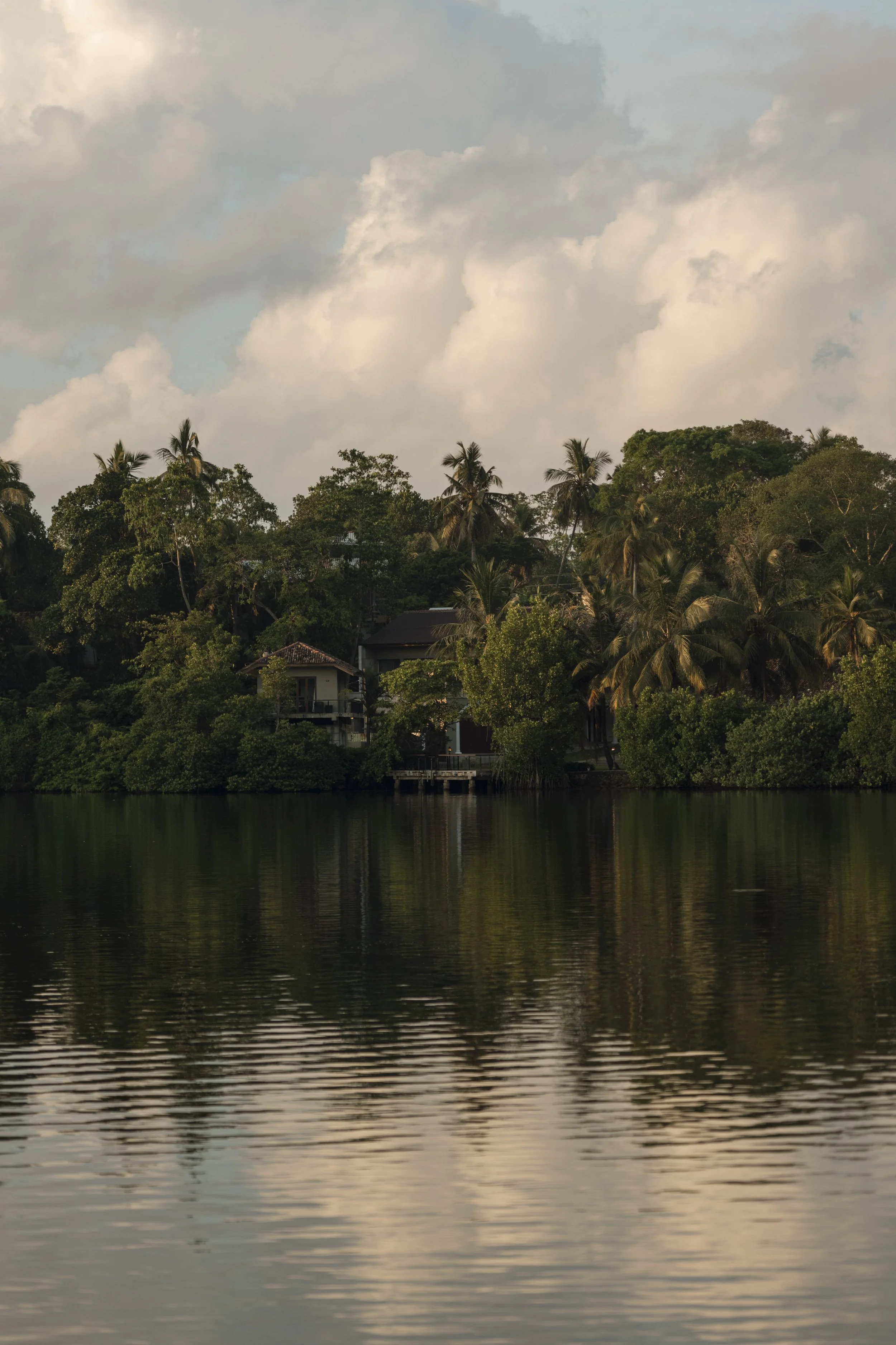 Natelee Cocks, Koggala Lake, Kurulu Bay, Sri Lanka
