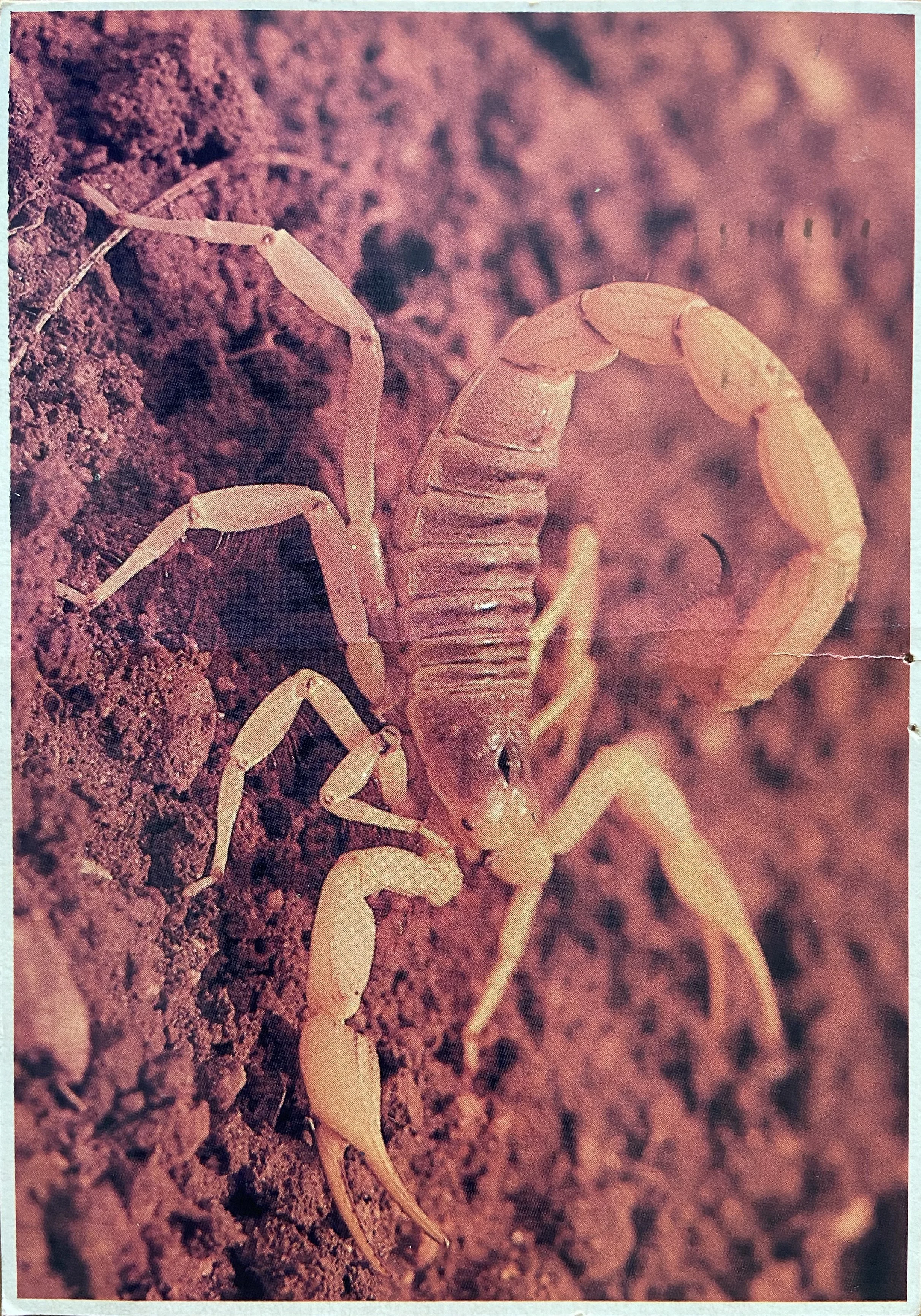 I wrote a short piece for INTERLUDE DOCS, founded and edited by Rebekah Weikel