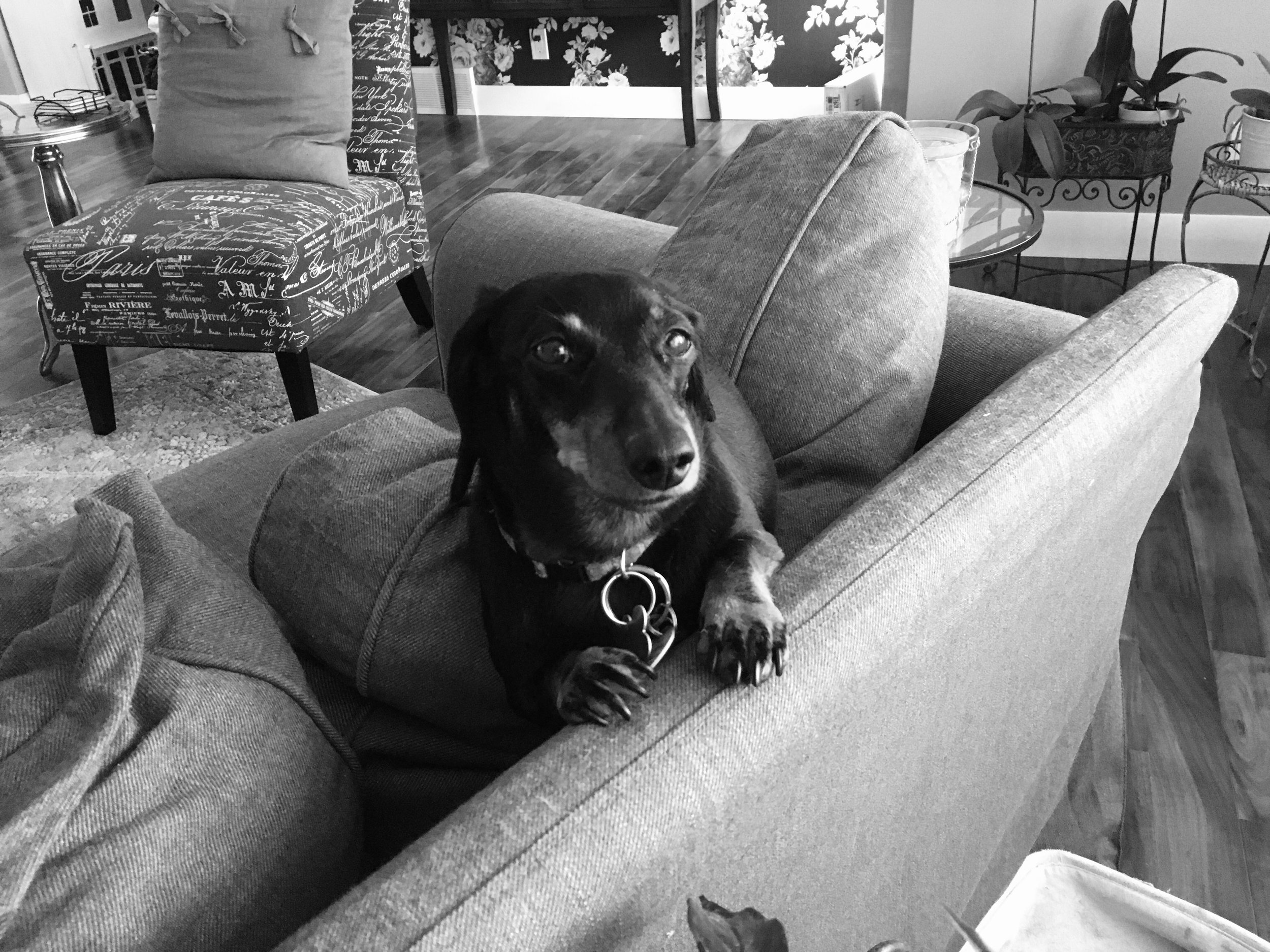 Job site supervisor