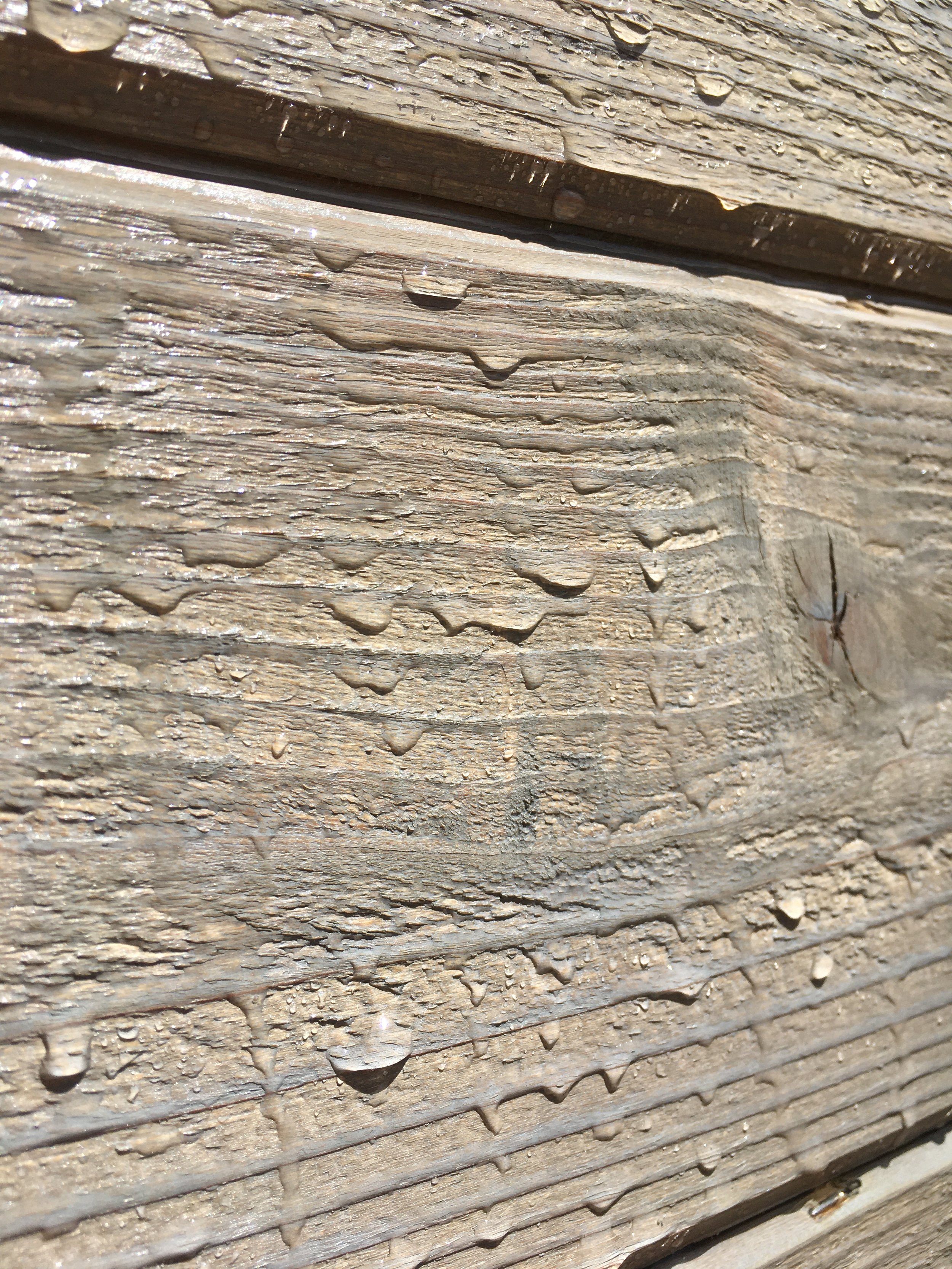 Water beading off Pine Tar wall