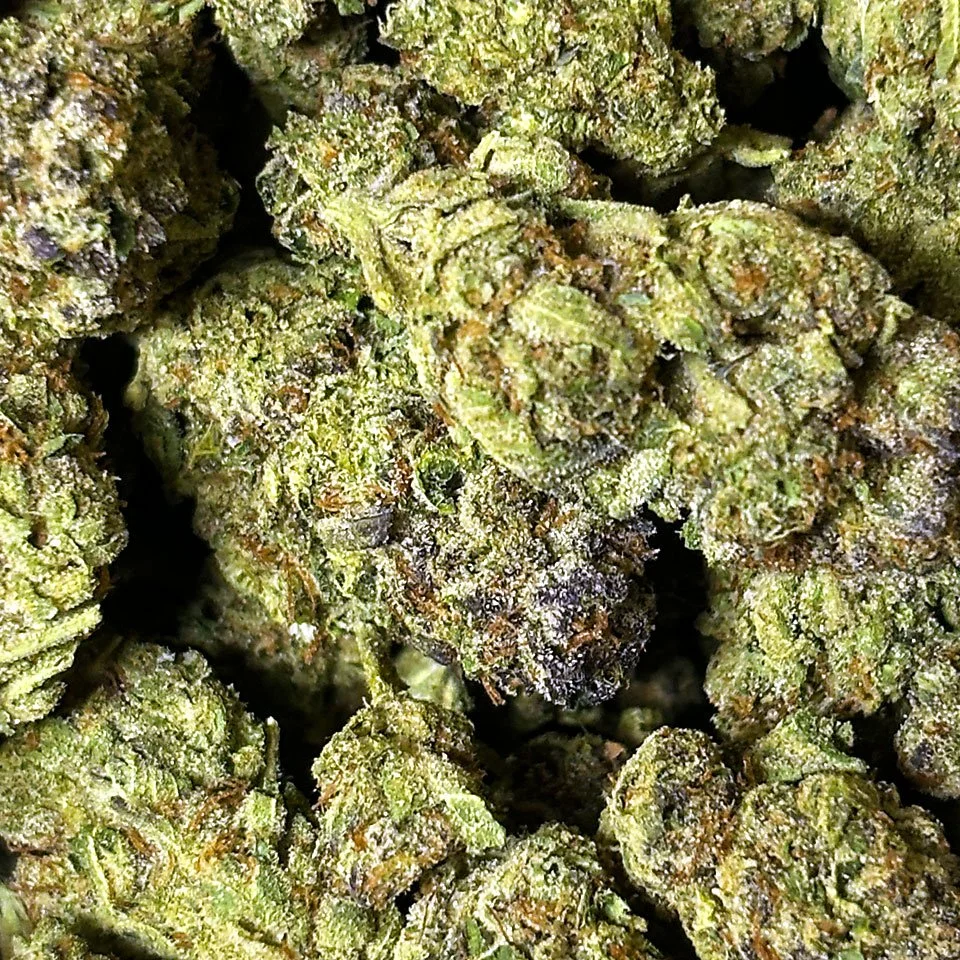 Chemdog | Sativa | 22% THC