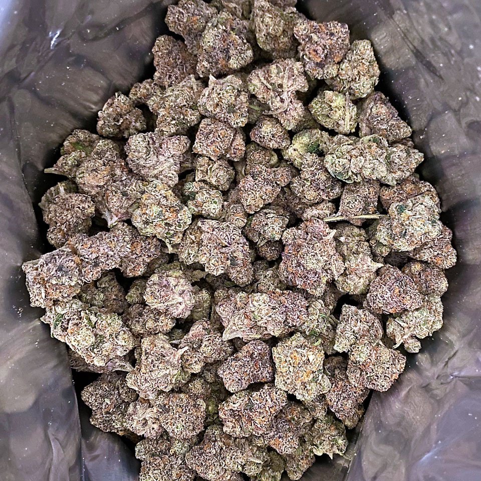 Acai Gelato | Hybrid | 25%