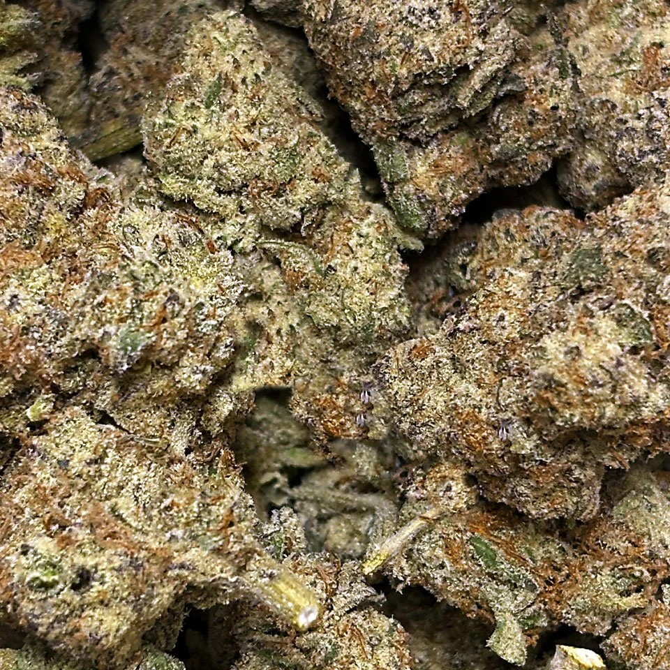 Mad Honey | Hybrid | 28% THC