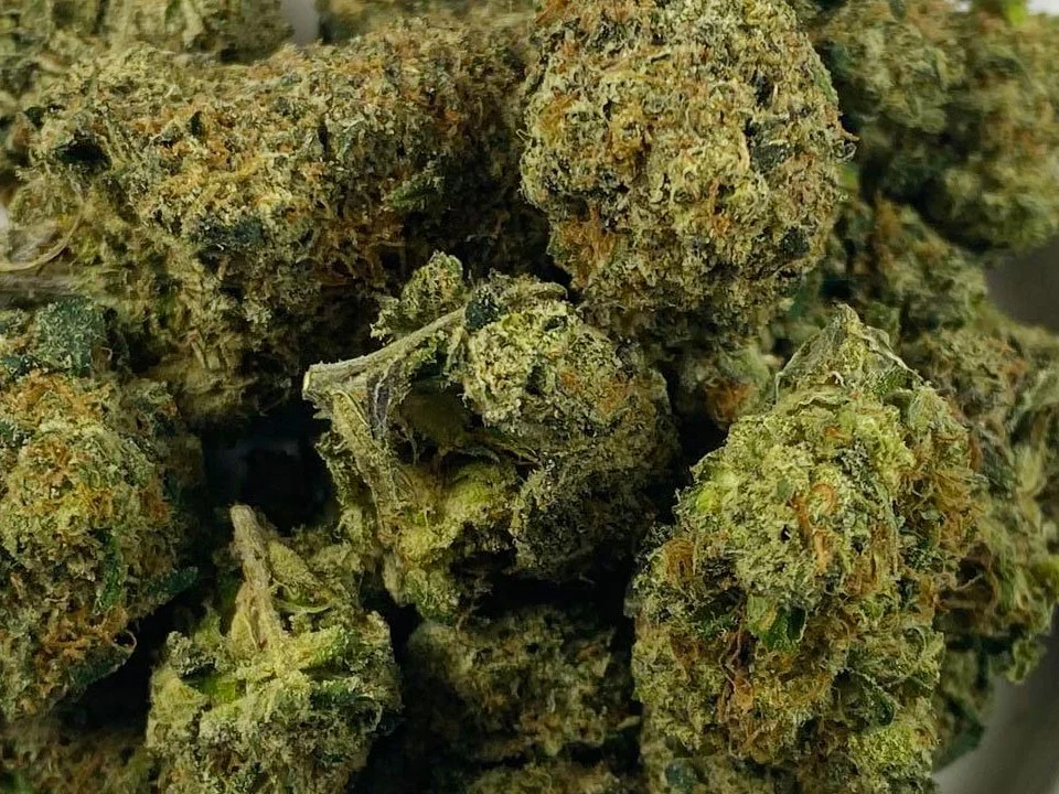 Zank | Hybrid | 29% THC