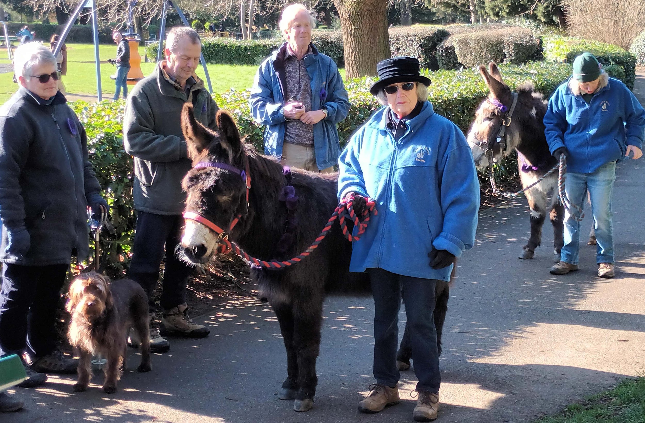 Donkeys and dogs came to pay their respects.jpg