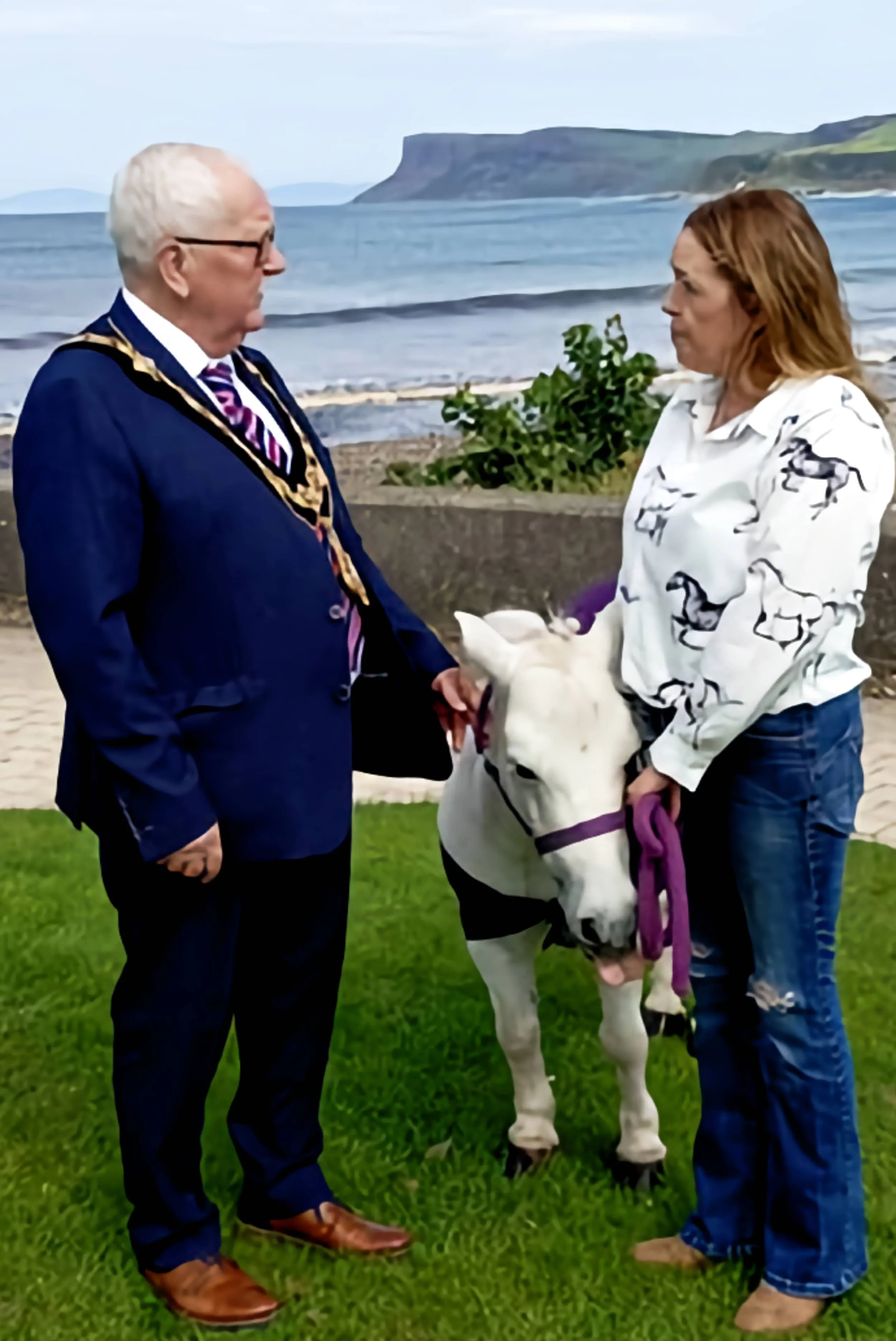 Meeting Mayor of Bushmills.jpg