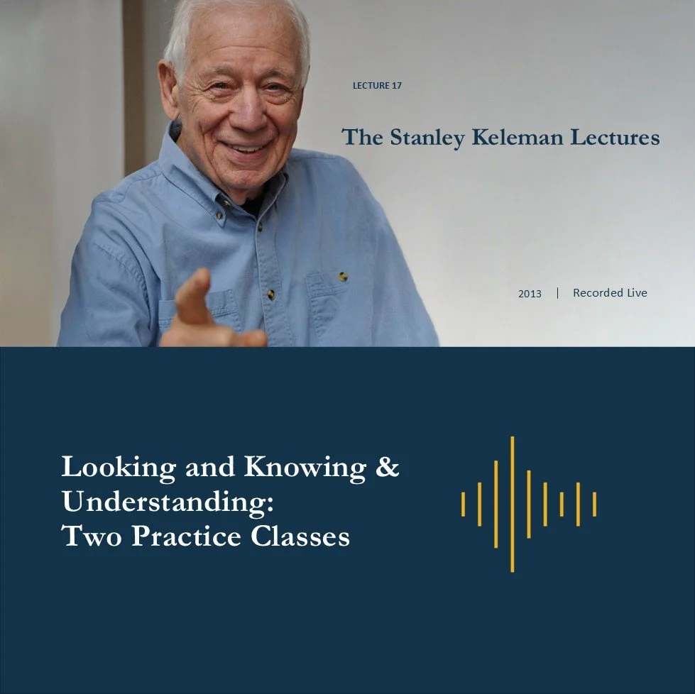 Looking and Knowing & Understanding - Two Practice Classes.jpg