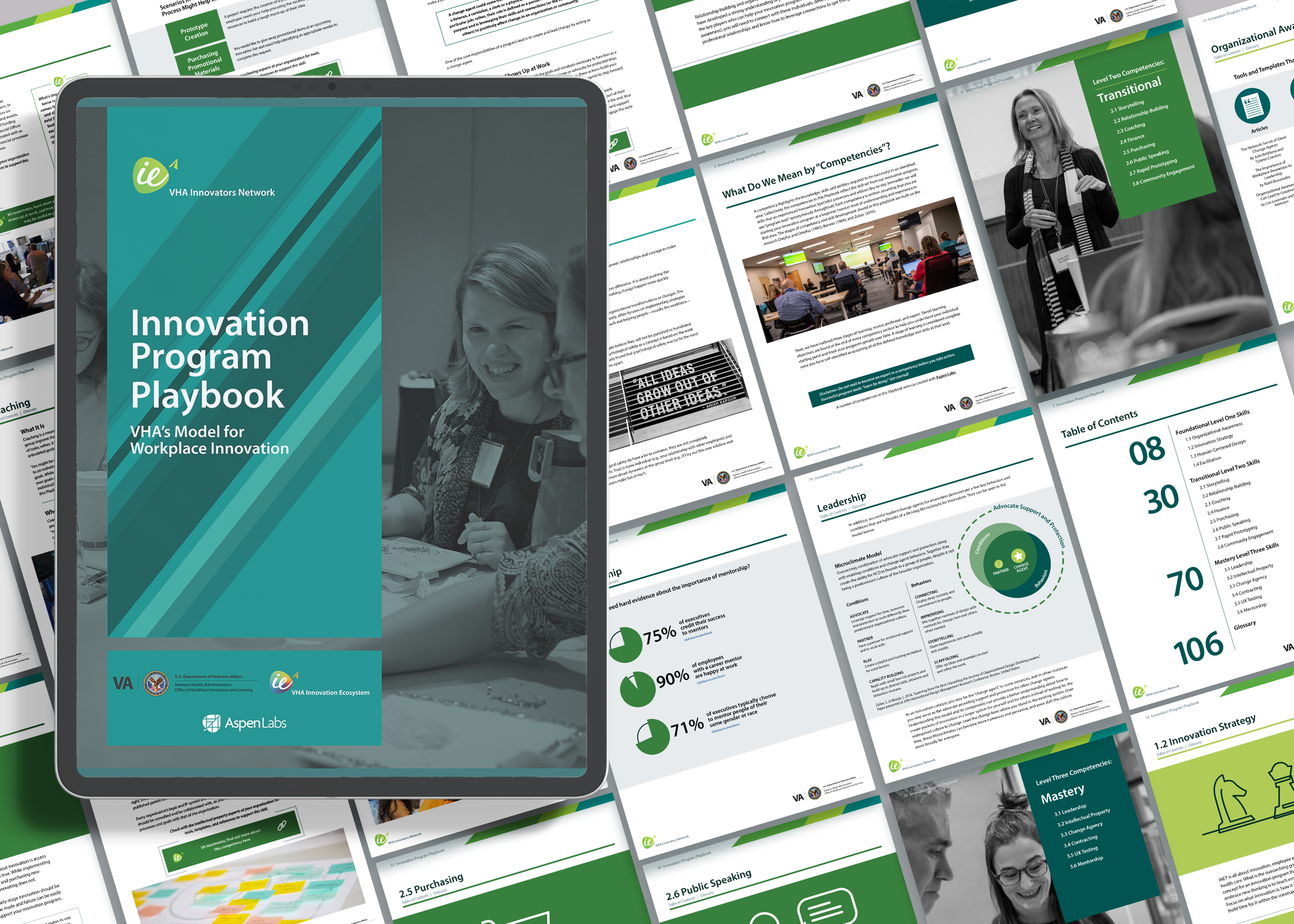 IS Playbook - Publication - LG.png