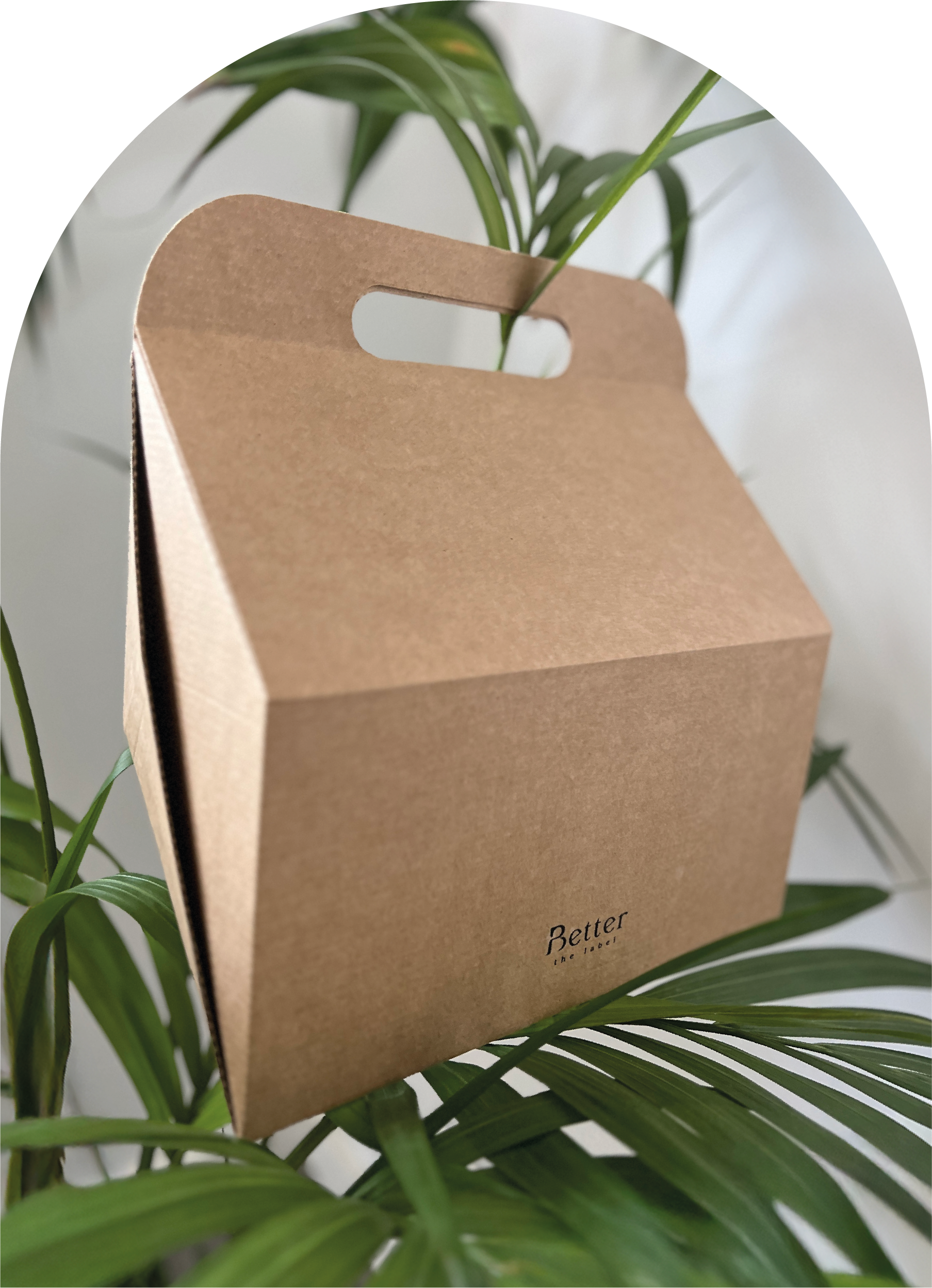 A cardboard carry bag with a handle, placed among green plant leaves. The bag has small black text saying, 'Better' and smaller text underneath.