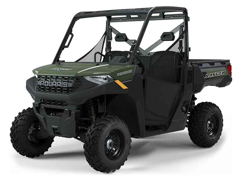 Polaris - 1000 EPS photo
