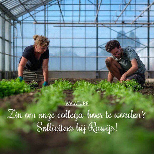 We zoeken een boer (m/v/x) om onze toffe ploeg te versterken.  Heb je interesse of ken je iemand met interesse? Surf naar rawijs.be voor meer info. 

 #csa_netwerk #rawijs #bio #samenwerken #lekkerlokaal