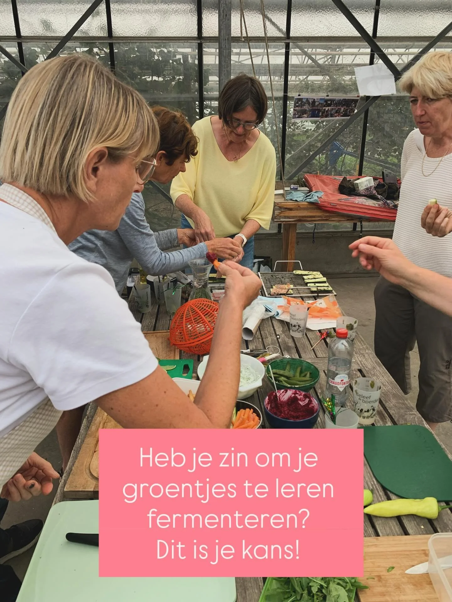 Heb je zin om groenten te leren fermenteren? Er zijn nog 5 plaatsen bij Rawijs! We nodigen @pekel.gent uit en het beloofd heel lekker en inspirerend te worden. Deel dit met iemand die het wilt leren. Tot snel! Inschrijving via deze link of via link i