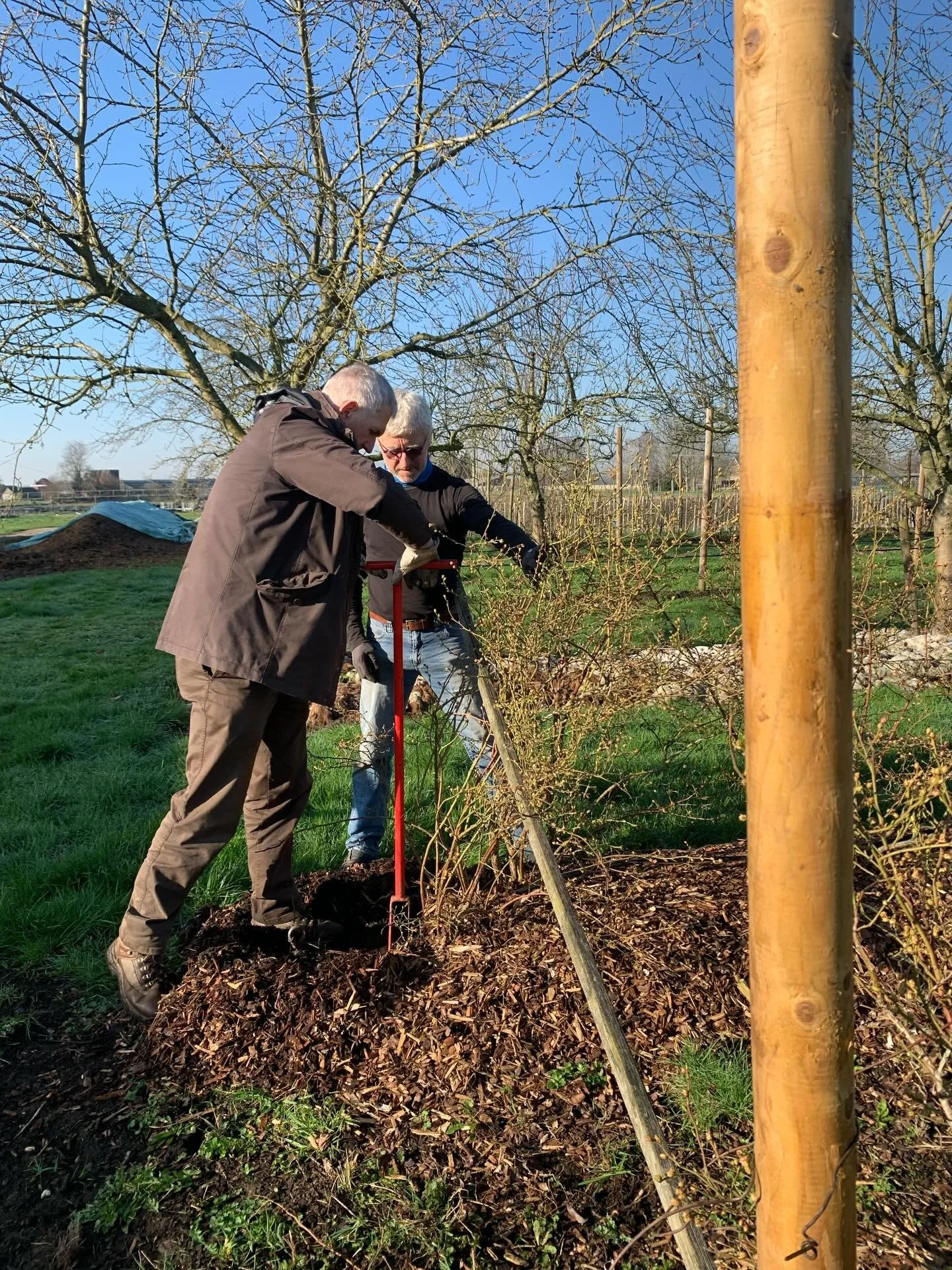 🌱 Deze week is het Week van de Vrijwilliger!

Als boeren van Plukboerderij Rawijs willen we al onze vrijwilligers uit de grond van ons hart bedanken. Dankzij jullie helpende handen groeit hier niet alleen groenten en fruit, maar ook een sterke gemee