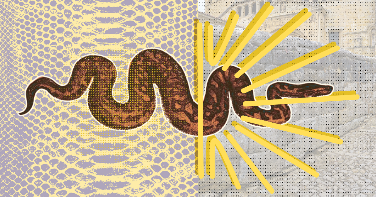 How the Year of the Snake led me to the Camino De Santiago
