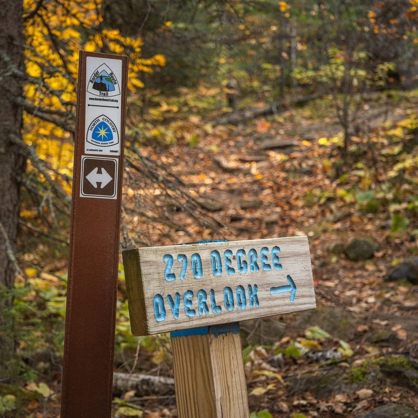 Non-Wilderness BRT Maintenance: East End