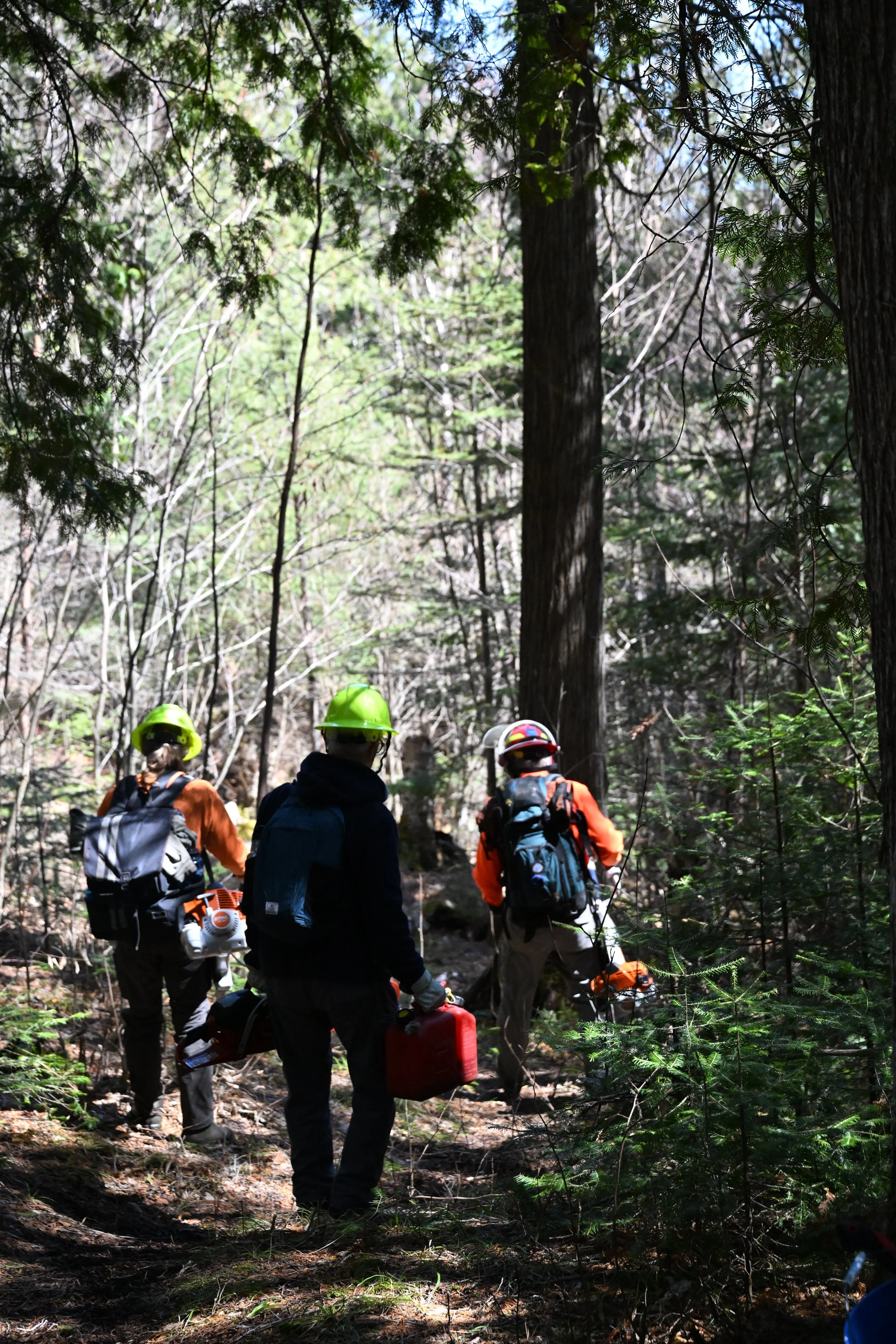 Non-wilderness Maintenance Trip — Border Route Trail-West End-Gunflint, MN