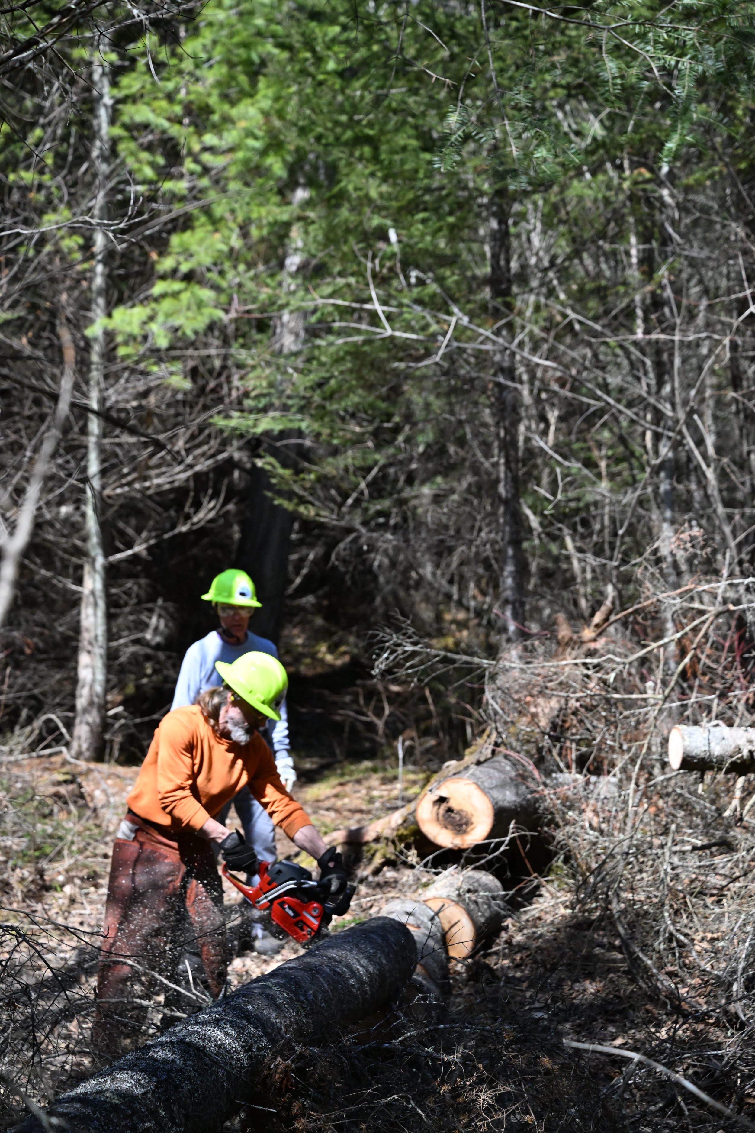 Trail Maintenance Trip— Border Route Trail Clearing — Lake McFarland