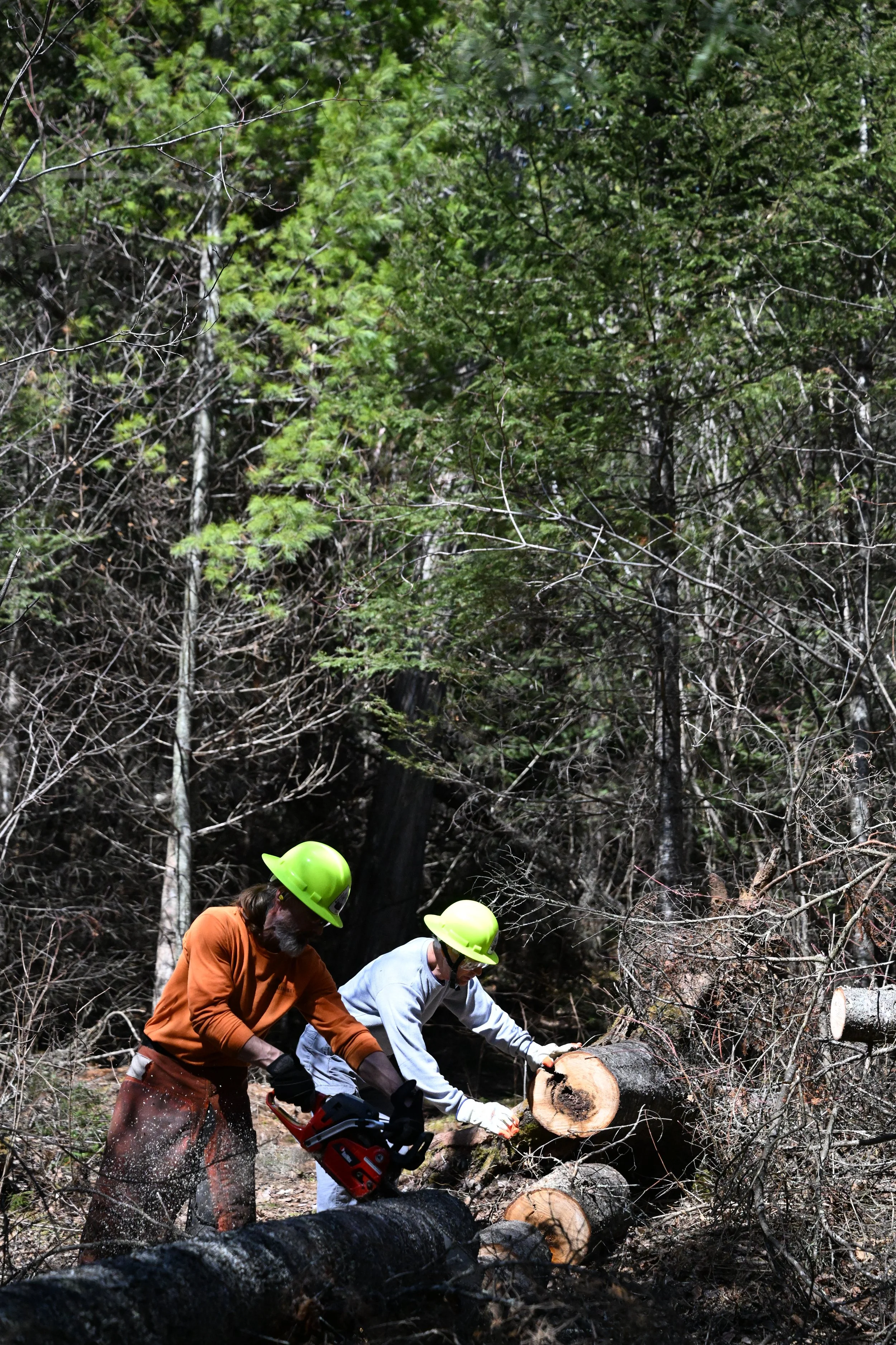Fall Trail Clearing Mucker Lake