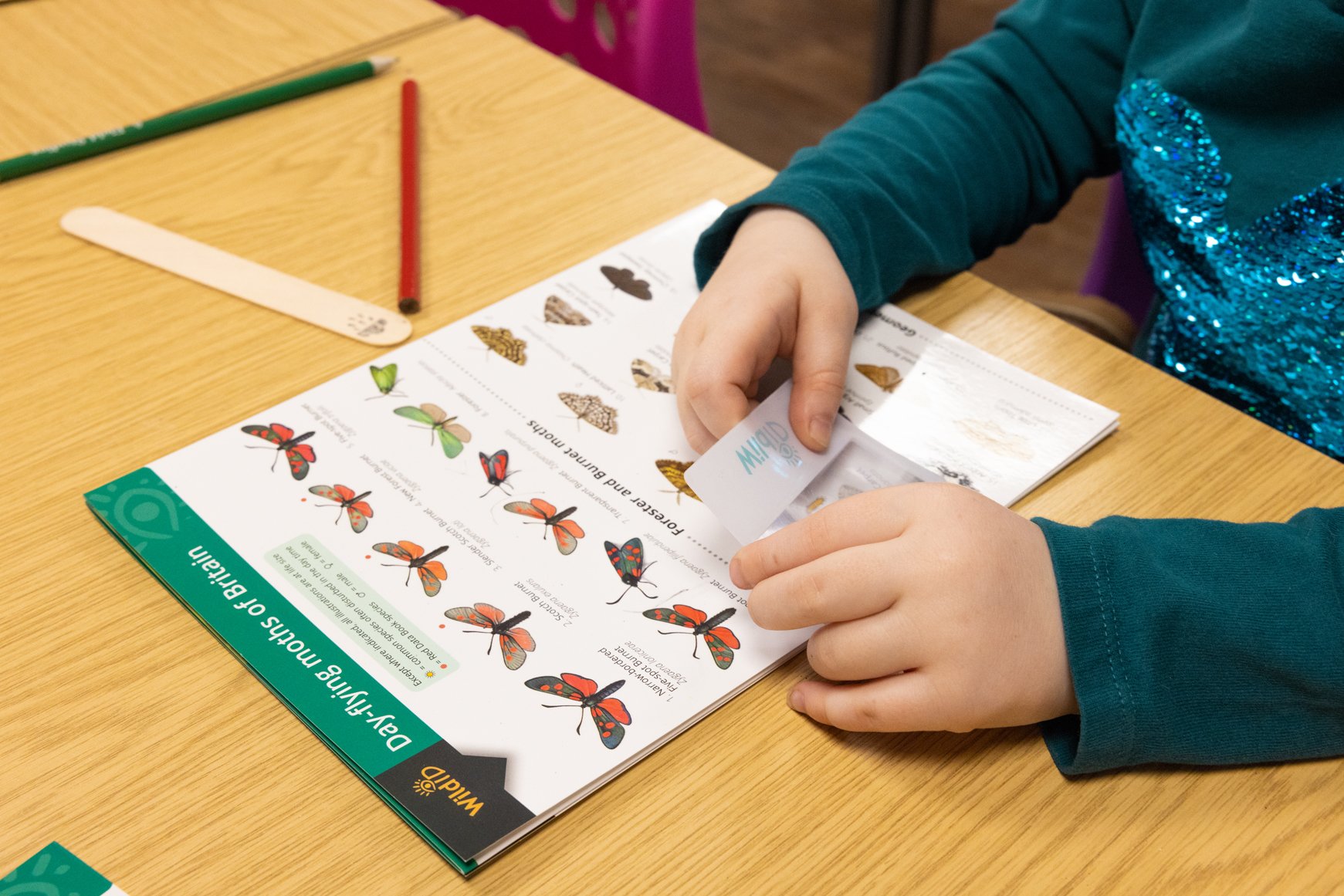 A child in a teal shirt with a sequined heart is flipping through a butterfly guidebook at a wooden table. There are colored pencils and a wooden pop stick on the table.
