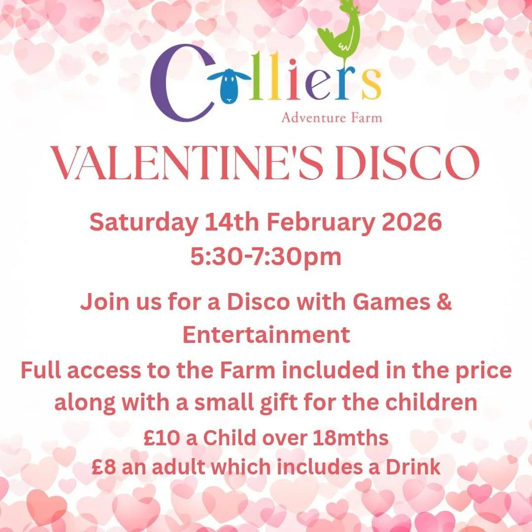 Valentines Disco 14th February 2026