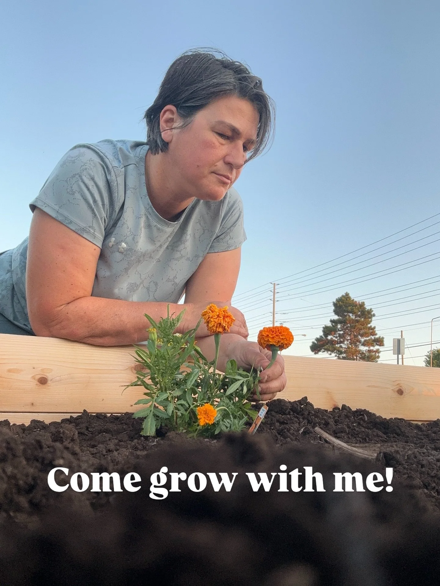 🌱 Join me this summer at the Whitby Community Garden, managed by @mannahelp , as we come together to grow food for those facing food insecurity in our community! Whether you&rsquo;re an experienced gardener or just starting out, there&rsquo;s a plac