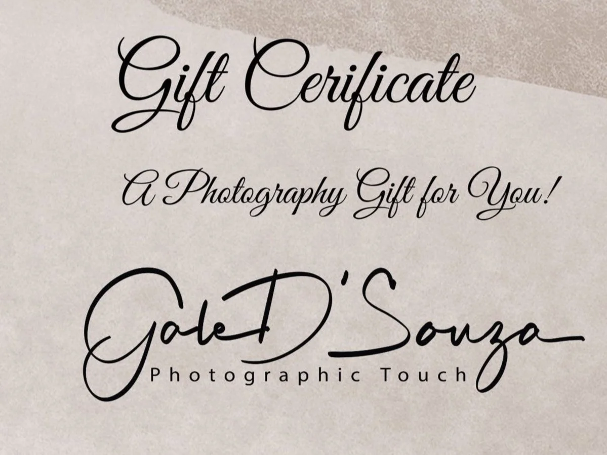 Elegant%2BGift%2BCertificated%2BWhitby%2Bphotographer.jpg
