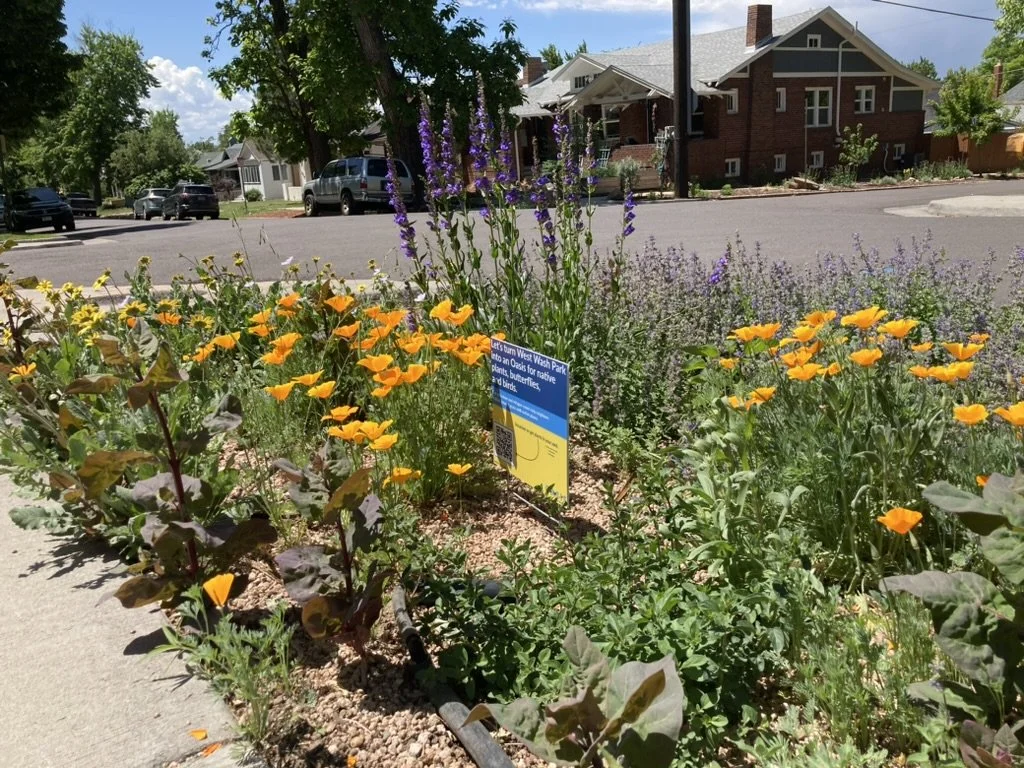 April Volunteer Project