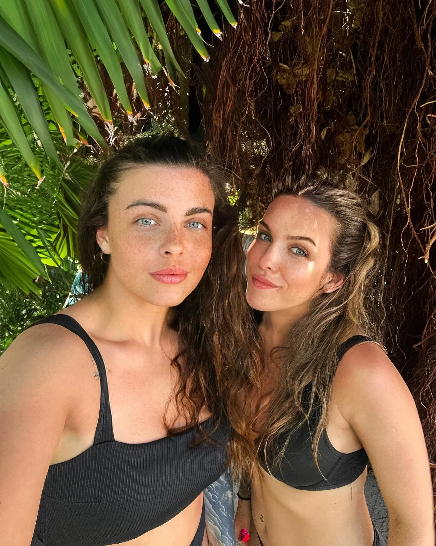 Hola🌴