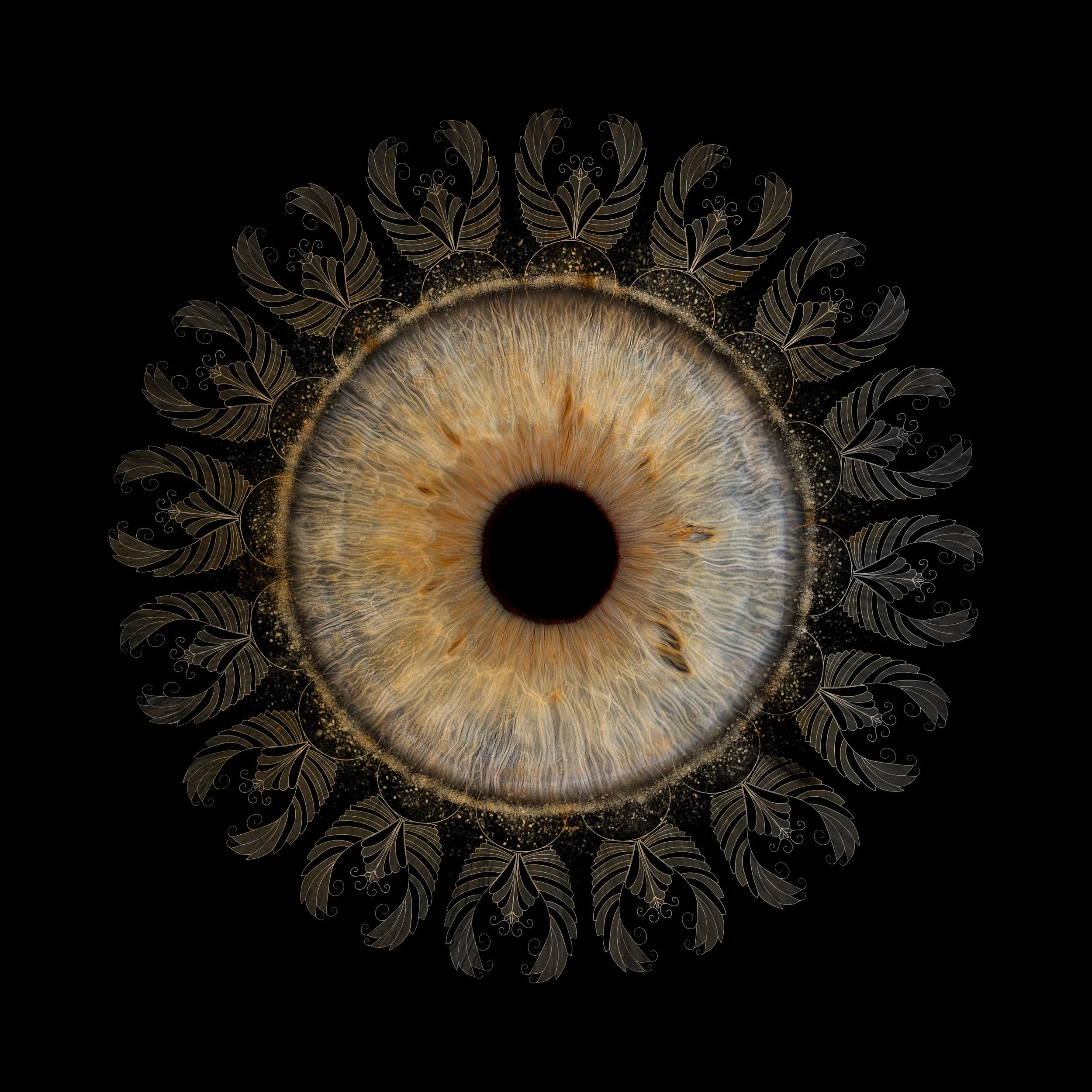 I have something new to show👀
#irisphotography #eyesphoto #oslofotograf