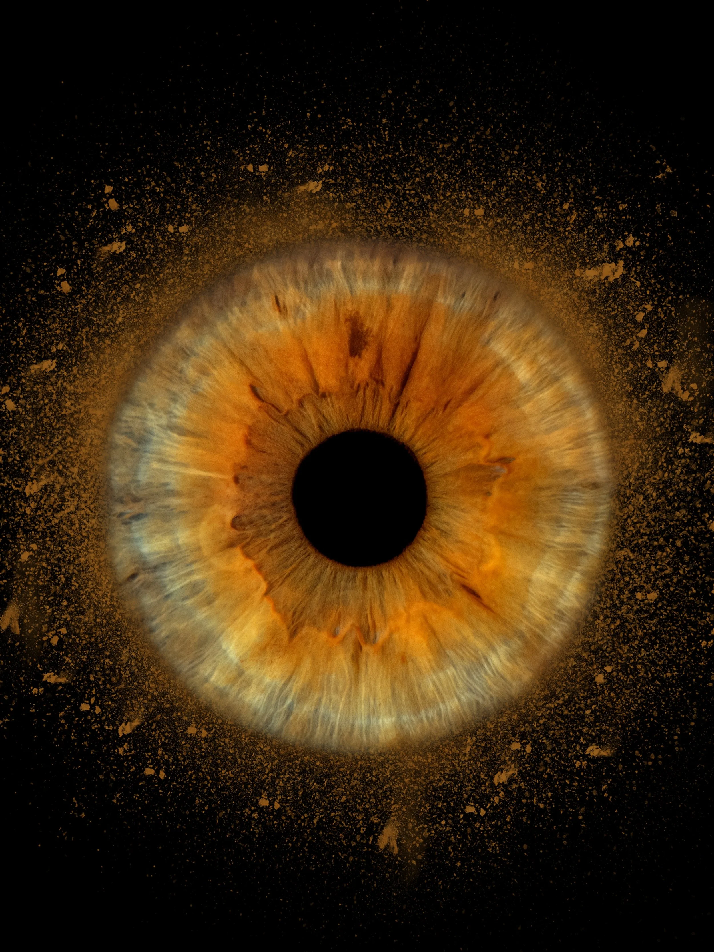 ☀️ GIVEAWAY ☀️

Only few days left until summer begins &ndash; let&rsquo;s welcome the season in a special way! I&rsquo;m giving away a unique iris photography session! 👁️

Would you like to win an iris photo of your own eye, your partner&rsquo;s, o
