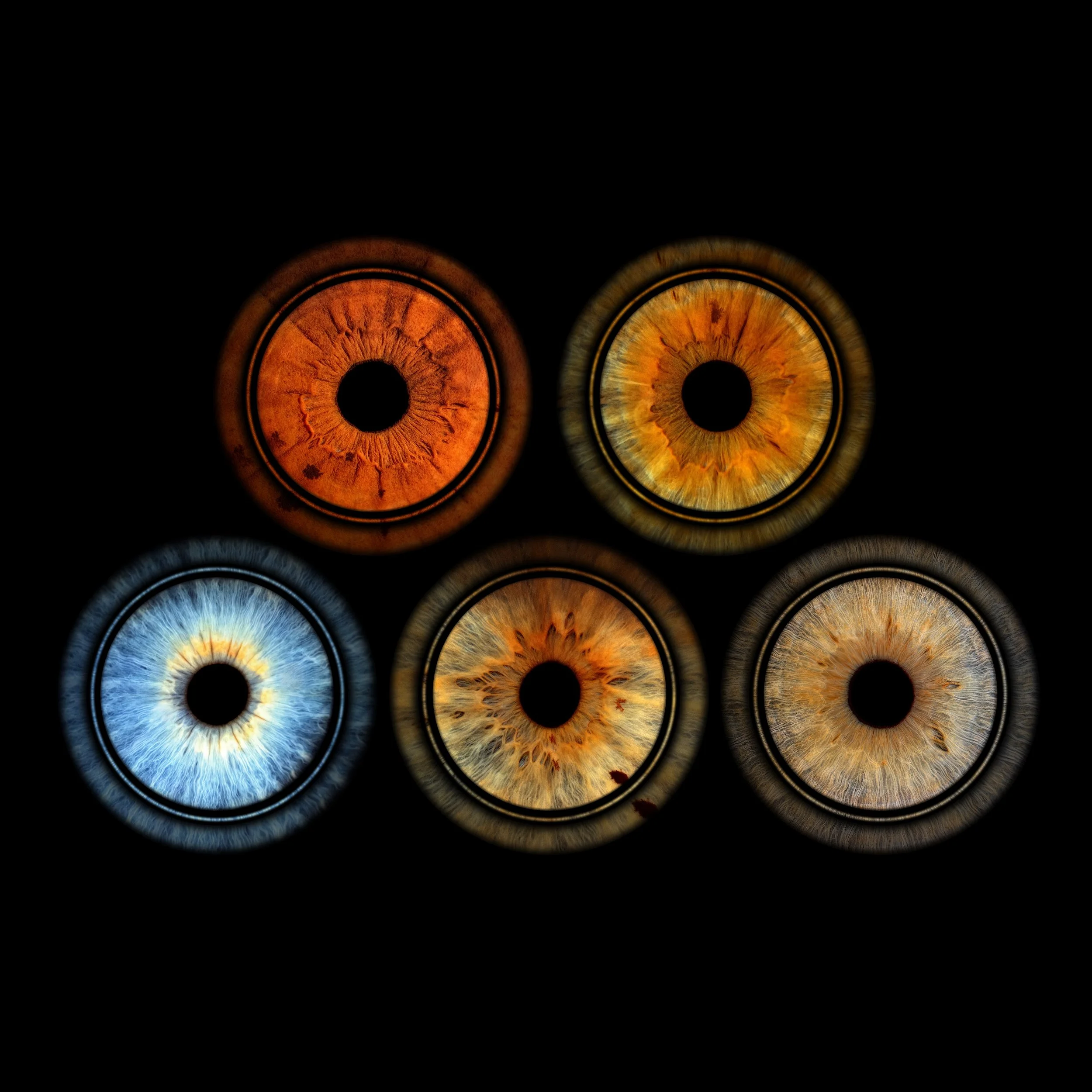 #eyesbyines #irisphotography #eyephotography #macrophoto #macroart