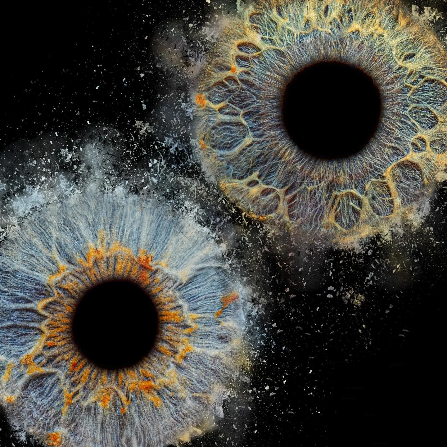 Explosive beauty of the eyes!
#eyesbyines #irisphotography #eyeart #fromeyetoart #eyeportrait #irisshot #artofeyes #macroart #irismacro #artphotography #fineartphotography #uniqueeyes #eyedetails #beautyineveryeye #explosiveart #irisexplosion #eyesth
