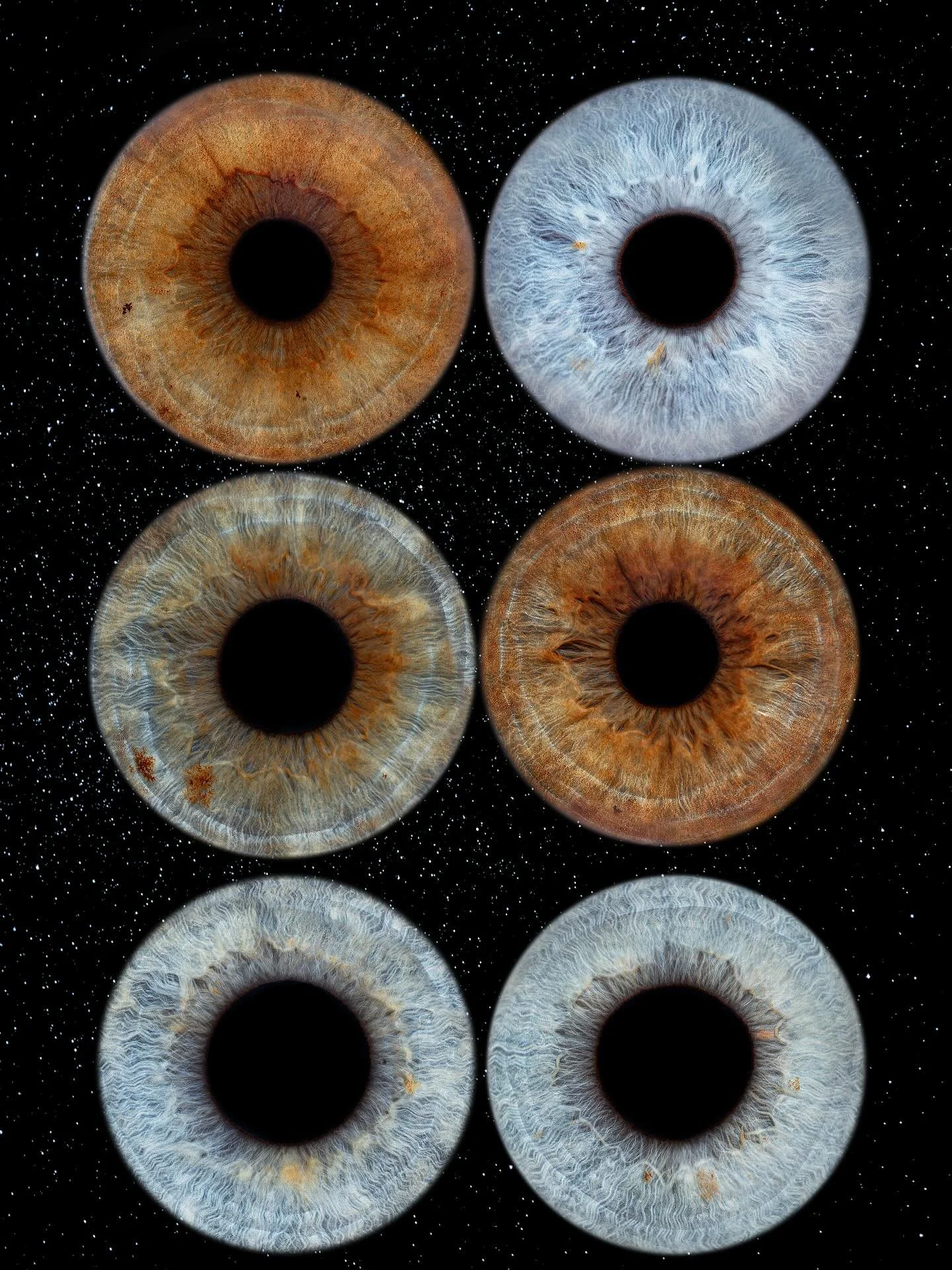 #eyesbyines #irisphotography #eyephotography #macrophoto #macroart #fineartphotography #artofeyes #eyemacro #eyeportrait #eyeart #macro_love #visualart #creativephotography #artphotography #fromeyetoart #thebeautyineveryeye #oslo #oslonorway #norwayp