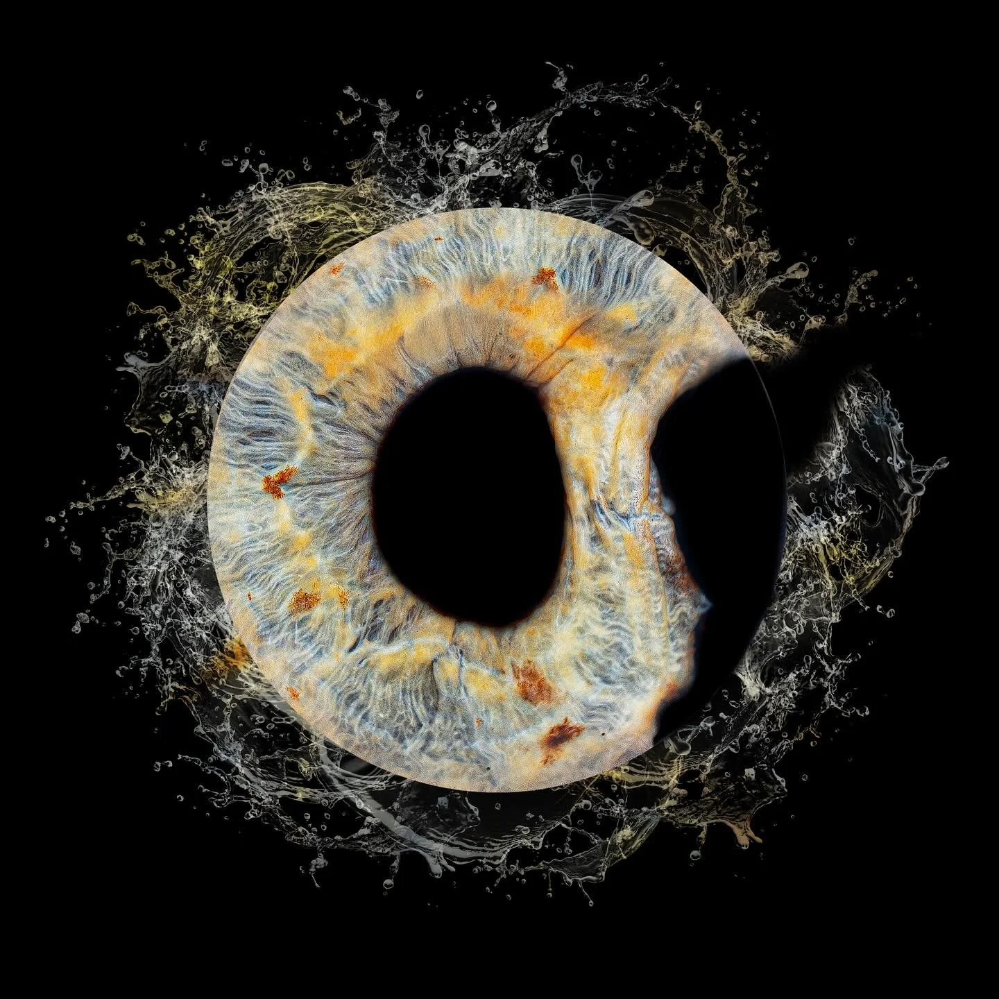 #eyesbyines #irisphotography #eyephotography #macrophoto #macroart #fineartphotography #artofeyes #eyemacro #eyeportrait #eyeart #macro_love #visualart #creativephotography #artphotography #fromeyetoart #thebeautyineveryeye #oslo #oslonorway #norwayp