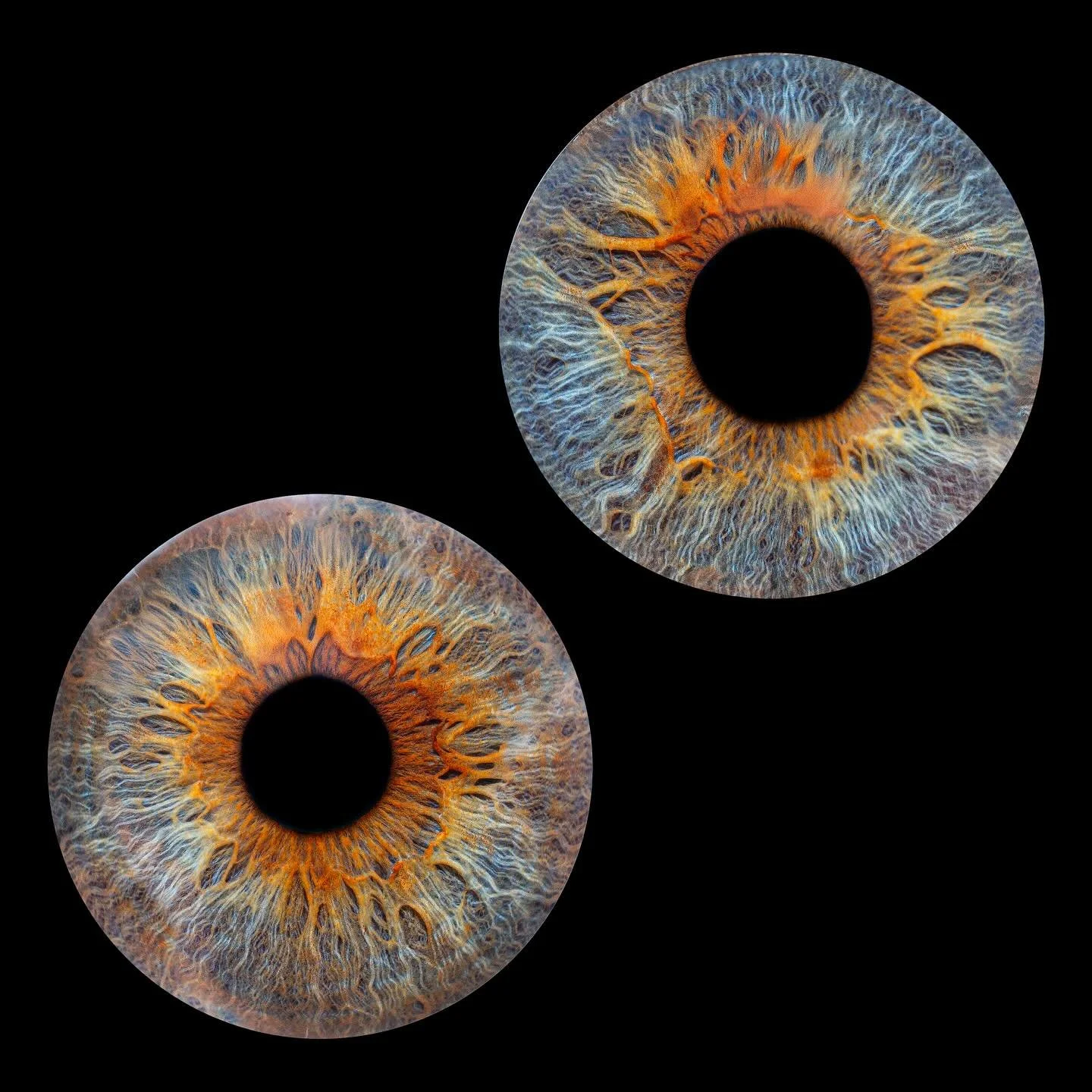#eyesbyines #irisphotography #eyephotography #macrophoto #macroart #fineartphotography #artofeyes #eyemacro #eyeportrait #eyeart #macro_love #visualart #creativephotography #artphotography #fromeyetoart #thebeautyineveryeye #oslo #oslonorway #norwayp