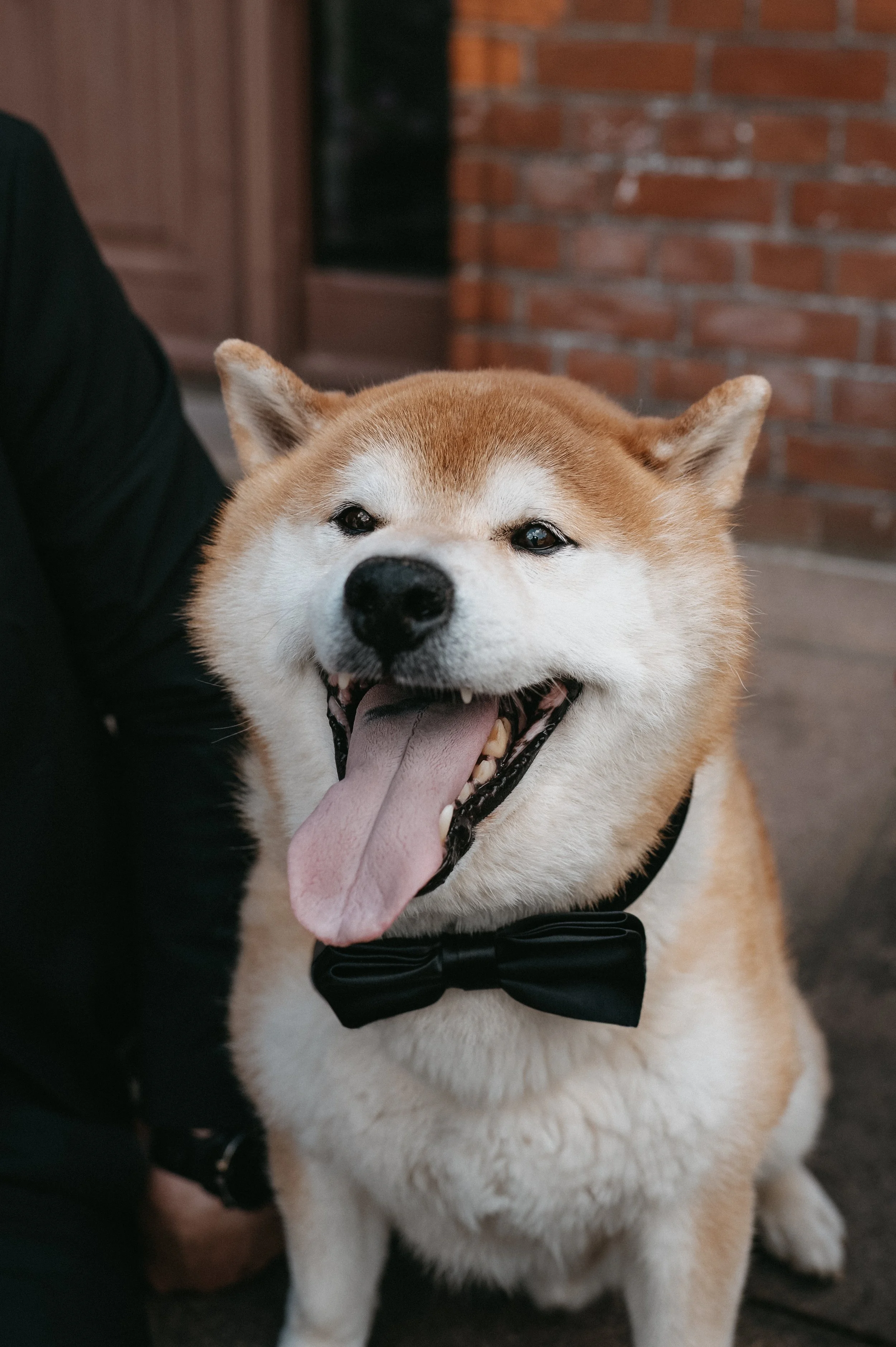 En bryllupsfotografering i Oslo hvor kjærlighet og magiske øyeblikk står i fokus. Jeg spesialiserer meg på bryllupsfotografier i Oslo og er klar til å forevige din store dag!
#BryllupsfotografOslo #OsloBryllup #Bryllupsfotograf #OsloWeddingPhotograph