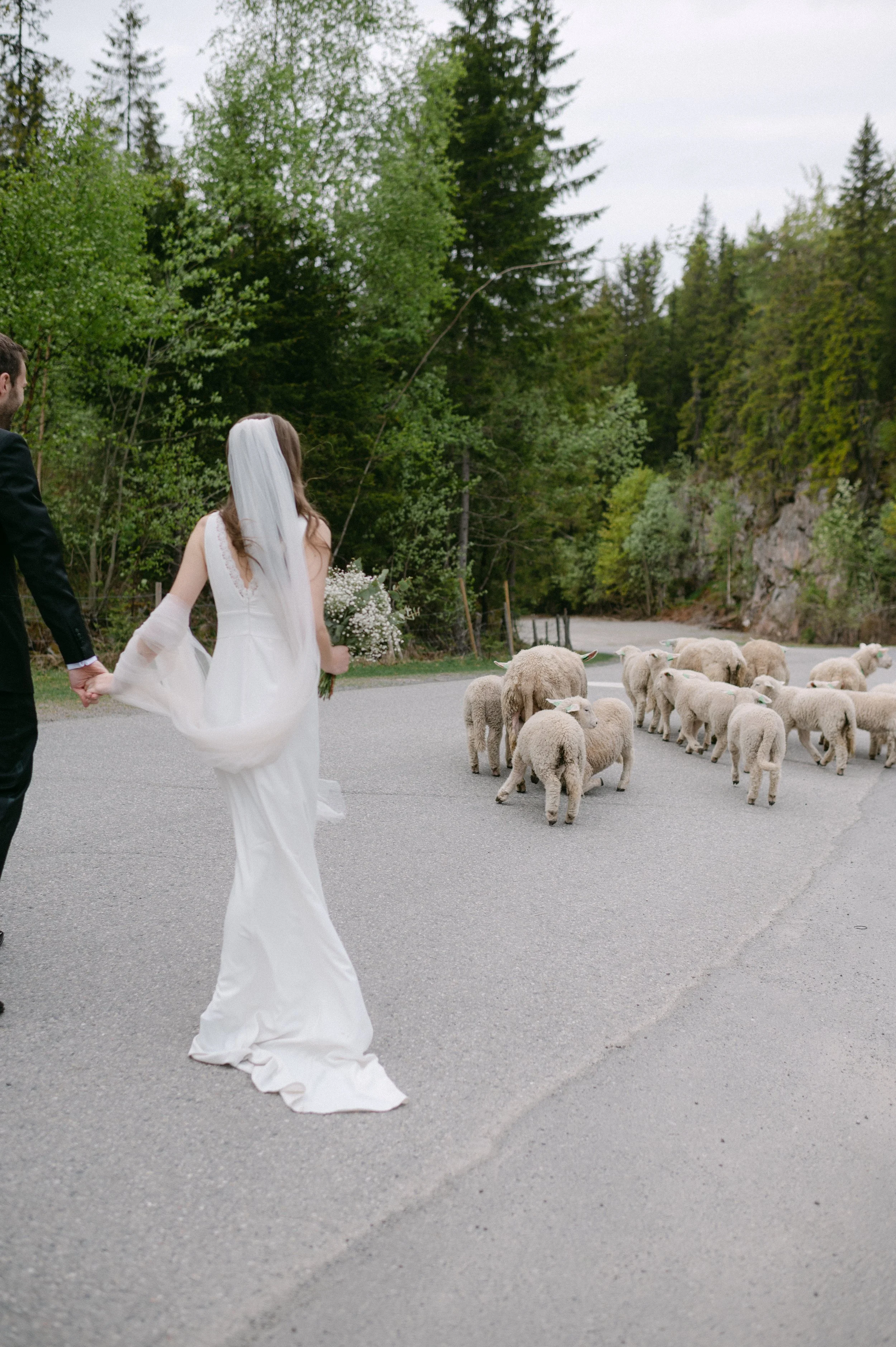 En bryllupsfotografering i Oslo hvor kjærlighet og magiske øyeblikk står i fokus. Jeg spesialiserer meg på bryllupsfotografier i Oslo og er klar til å forevige din store dag!
#BryllupsfotografOslo #OsloBryllup #Bryllupsfotograf #OsloWeddingPhotograph
