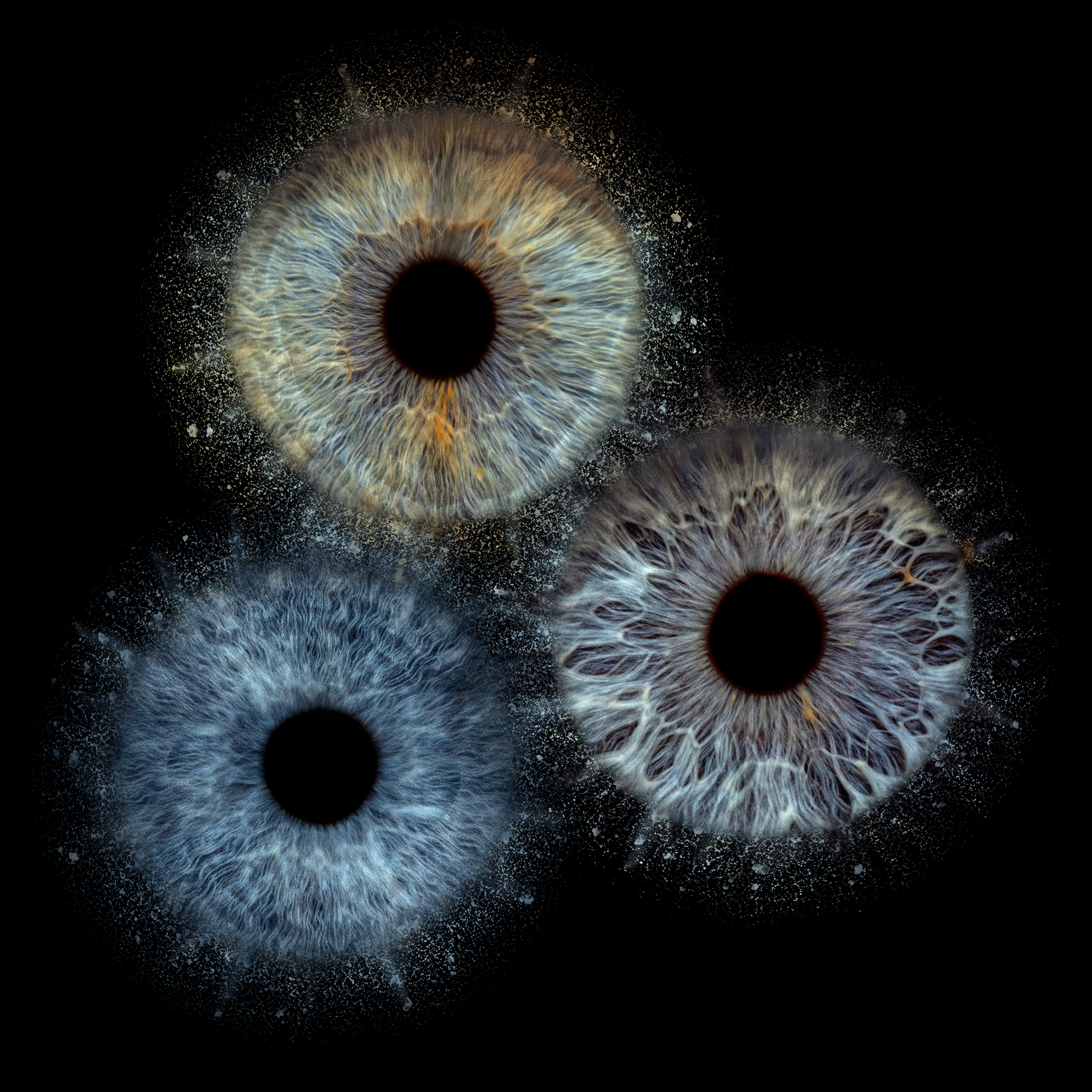Iris photo Oslo eyes photography oslo eyes by ines iris photo