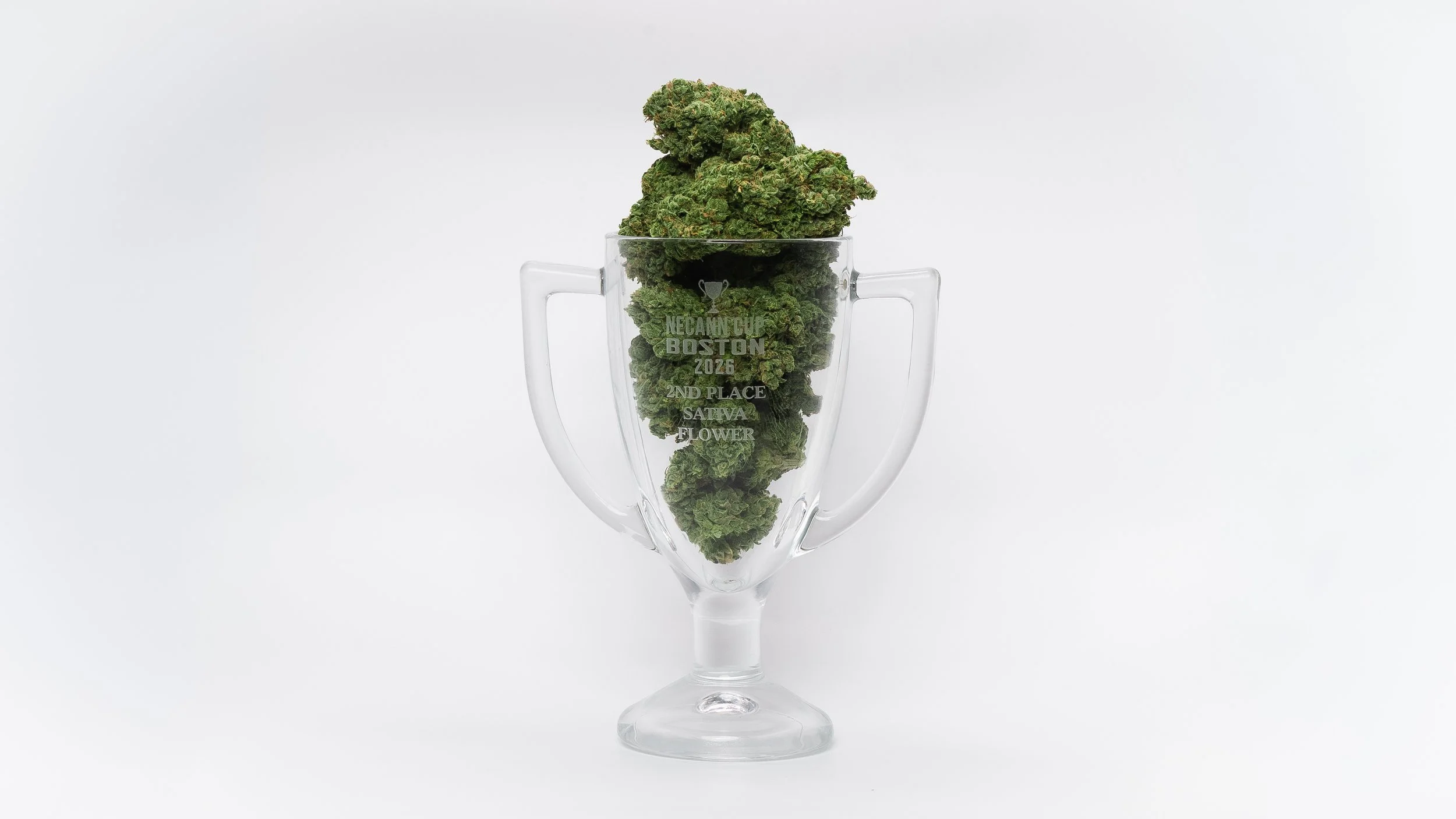 Cannabis Menu #14.jpg