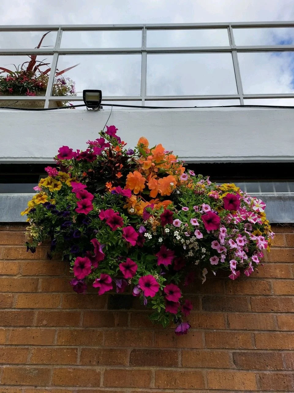 Now is a great time to start planning hanging baskets and annual displays. 

We can collect and plant old baskets or supply and fit new, with the option for us to install irrigation to keep your displays perfect all summer long! 

Drop us a direct me