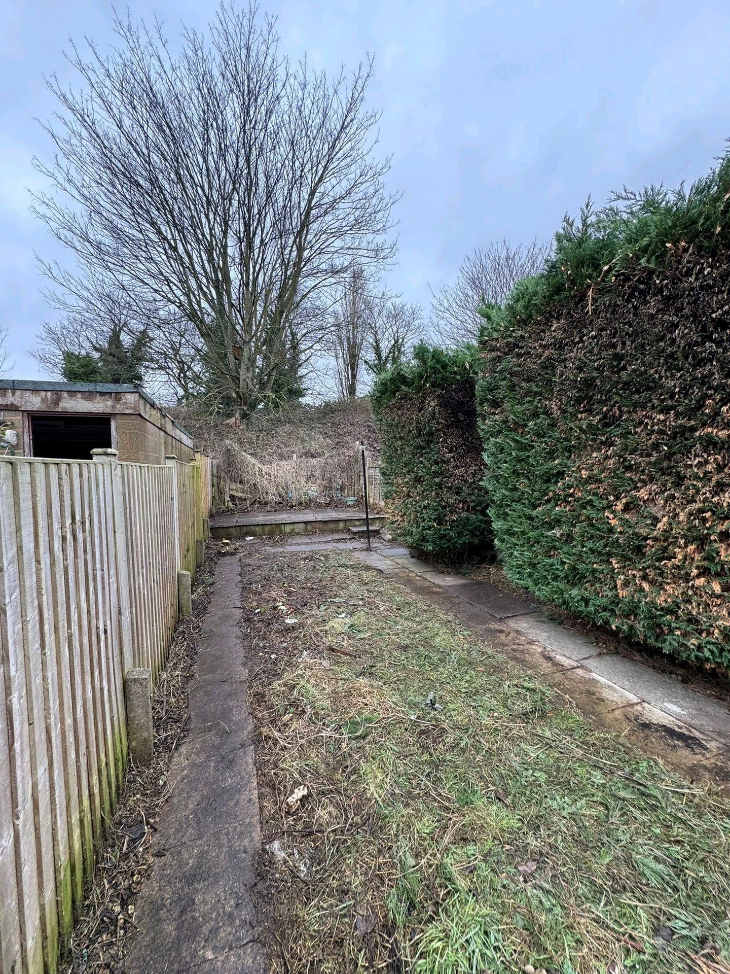 We completed a small clearance project on a recently refurbished rented property in Nuneaton, Warwickshire. Along with a repair to the boundary fencing and fitting a new back gate. 

Swipe for the before and afters! 

#boxwoodlandscapes #gardenmainte
