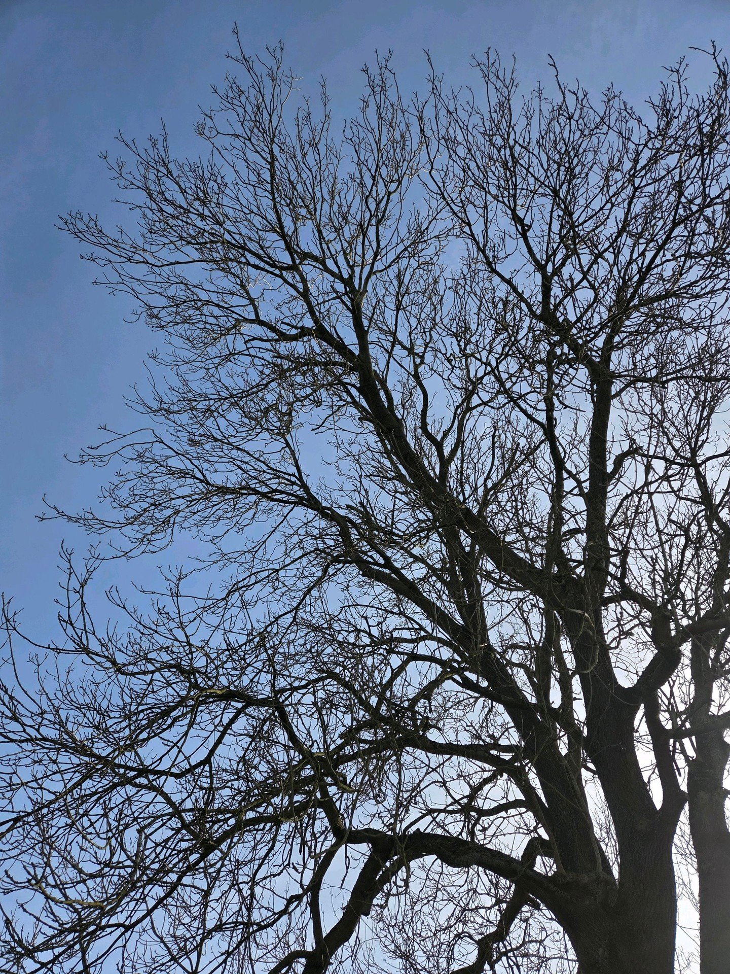 Our maintenence teams is out today with the start of our 2026 maintenence season! Running from the start of March to the end of October.

We are still taking on properties of any size for regular maintenance and cover Nuneaton, Hinckley, Coventry and