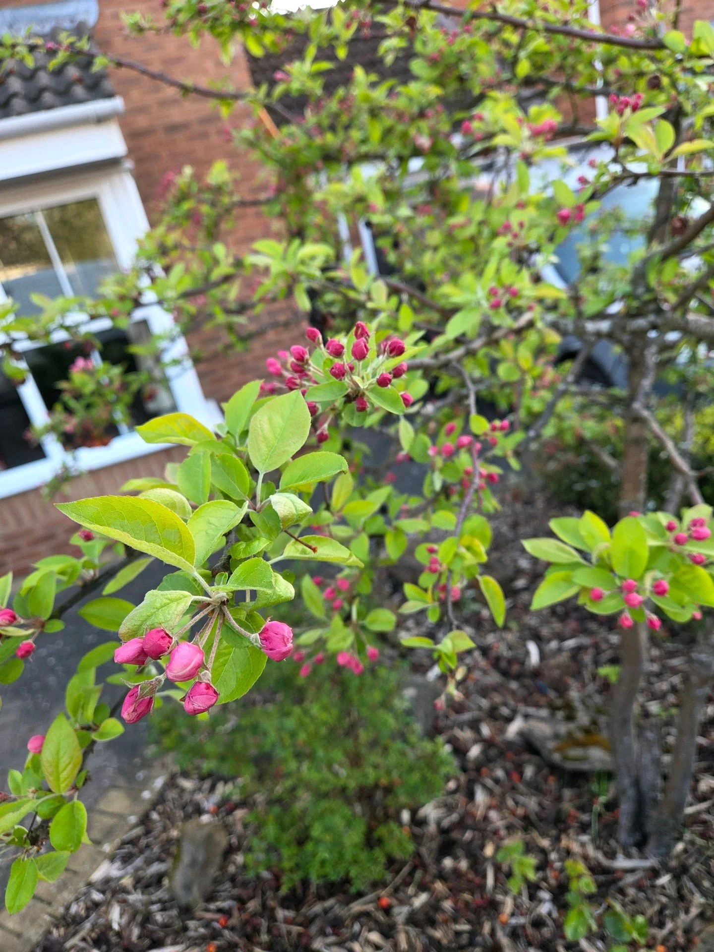 With spring in full bloom the maintenance team were out on Monday, completing regular maintenance visits on three sites we manage in Fillongley, Warwickshire.